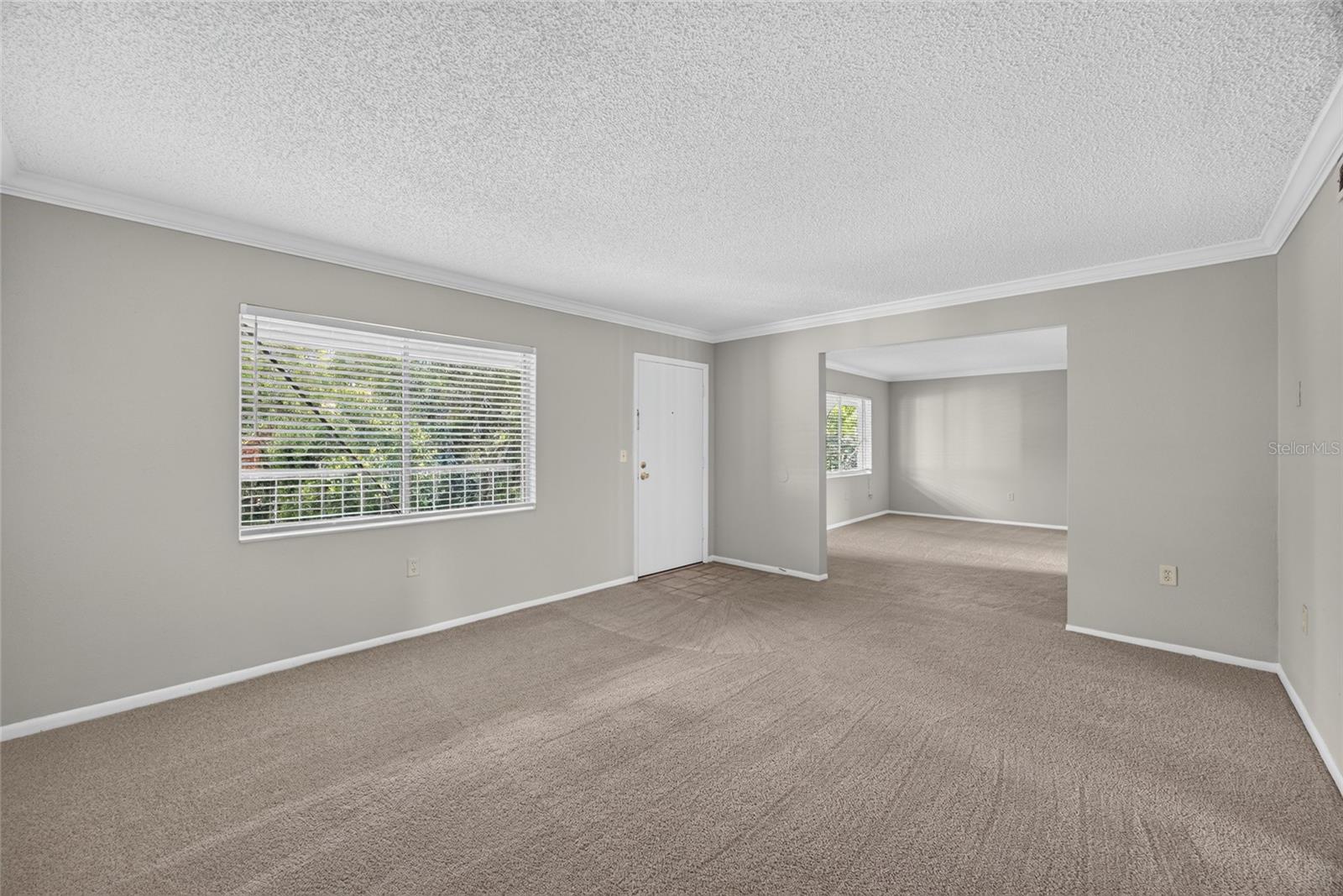 WATERSIDE AT CRANES ROOST A CONDO COMMUNITY - Residential
