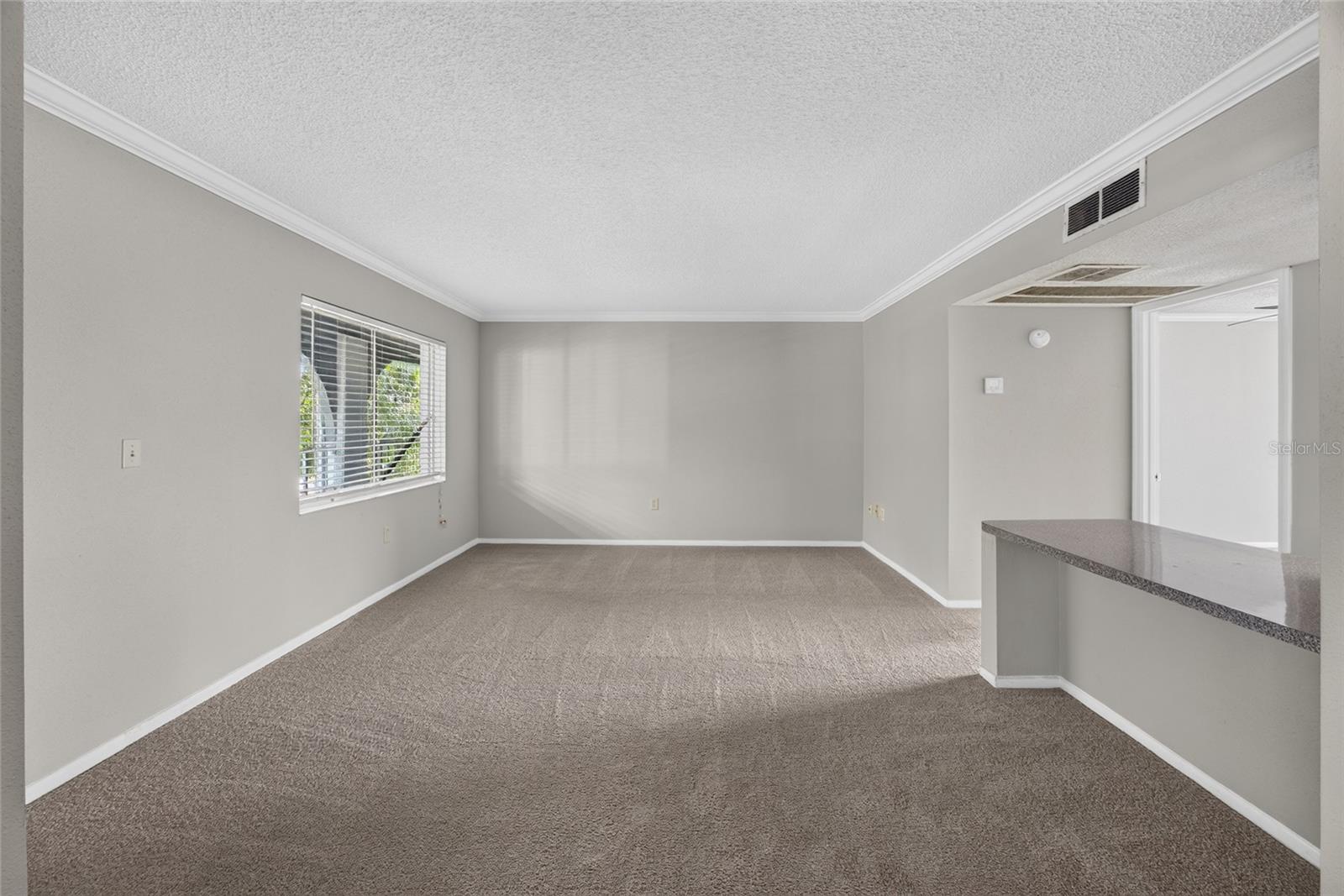 WATERSIDE AT CRANES ROOST A CONDO COMMUNITY - Residential
