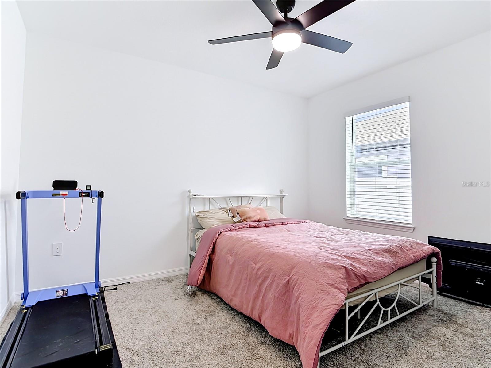 LAKE ALFRED PINES - Residential