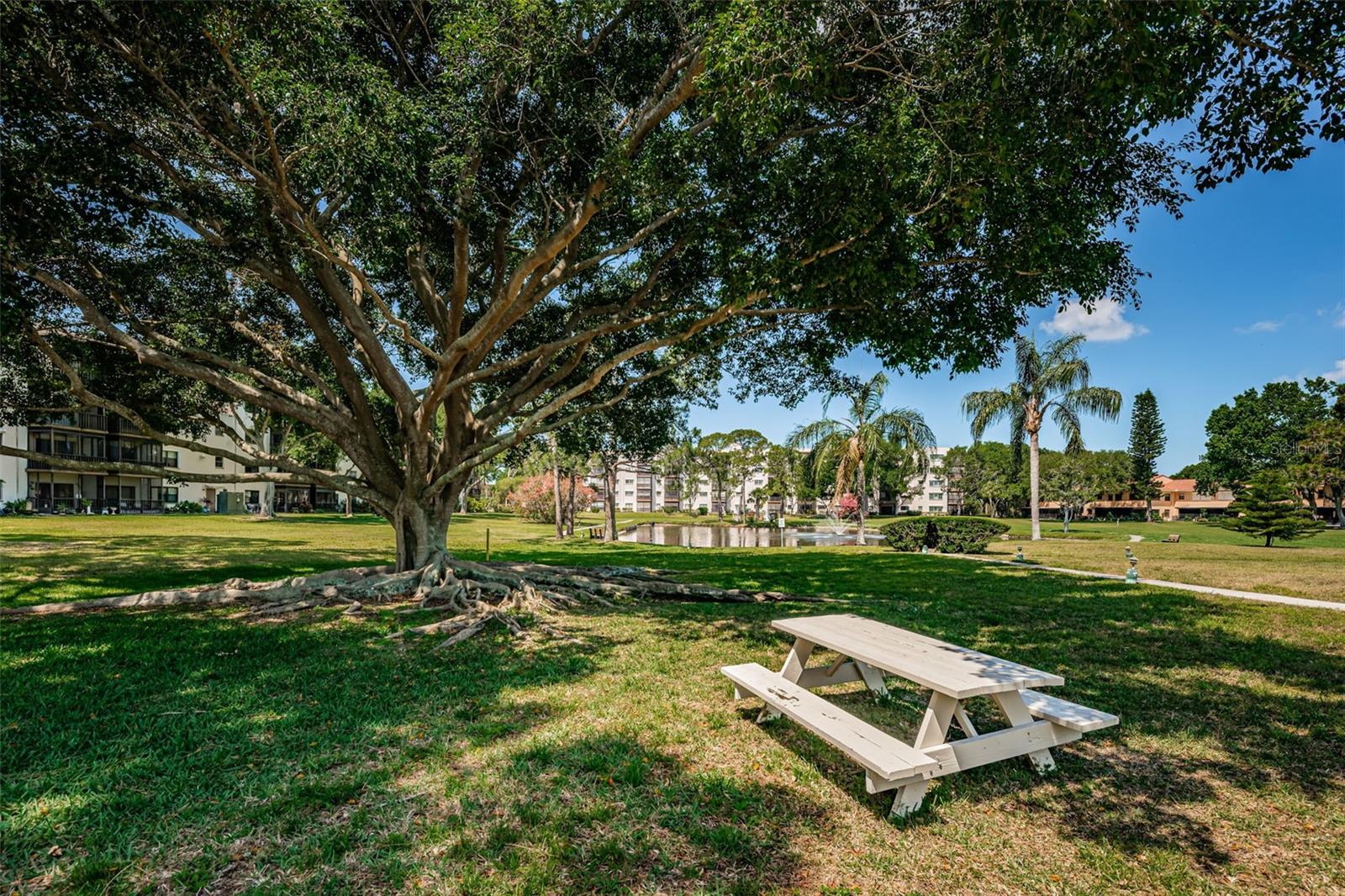 FIVE TOWNS OF ST PETE - Residential