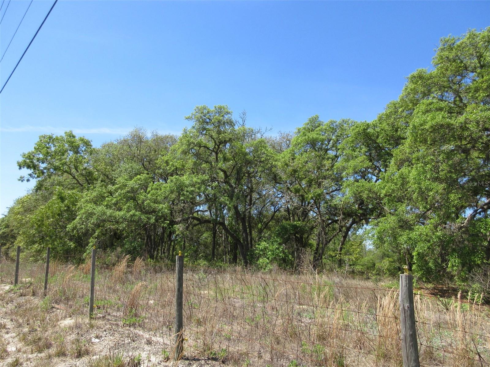 Start your ranch, design your perfect home to create your dream retreat! This serene setting offers endless potential for a hobby farm, garden or just a tranquil getaway. Already fenced. Horses welcome. Turn your rural living dreams into a reality with this beautiful 9.55 acre property. This is a fantastic opportunity to live in north Citrus County, in the sought-after Circle M Ranchettes. Just a short drive to great destinations like the World Equestrian Center ( WEC ), the Withlacoochee River, and the Rainbow Springs State Park. Just a 5-mile drive to downtown Dunnellon. Both the downtown Dunnellon and the Goldendale boat ramps are just minutes away for easy access to the river, for boating and recreation. This is a great location! No Flood Zone. No HOA. Go to Site and fall in love!