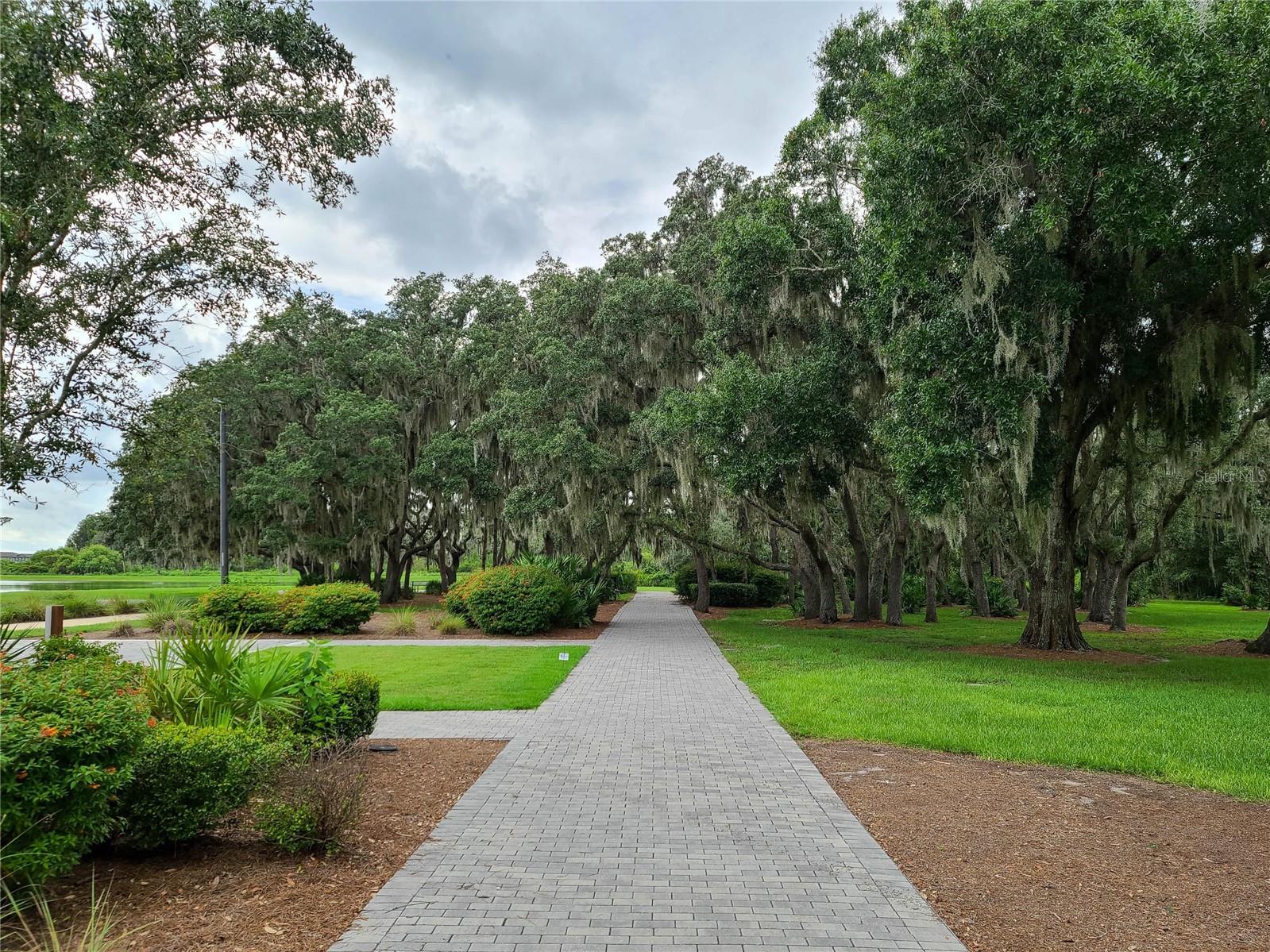 STARKEY RANCH VILLAGE 2 PH 2A - Residential
