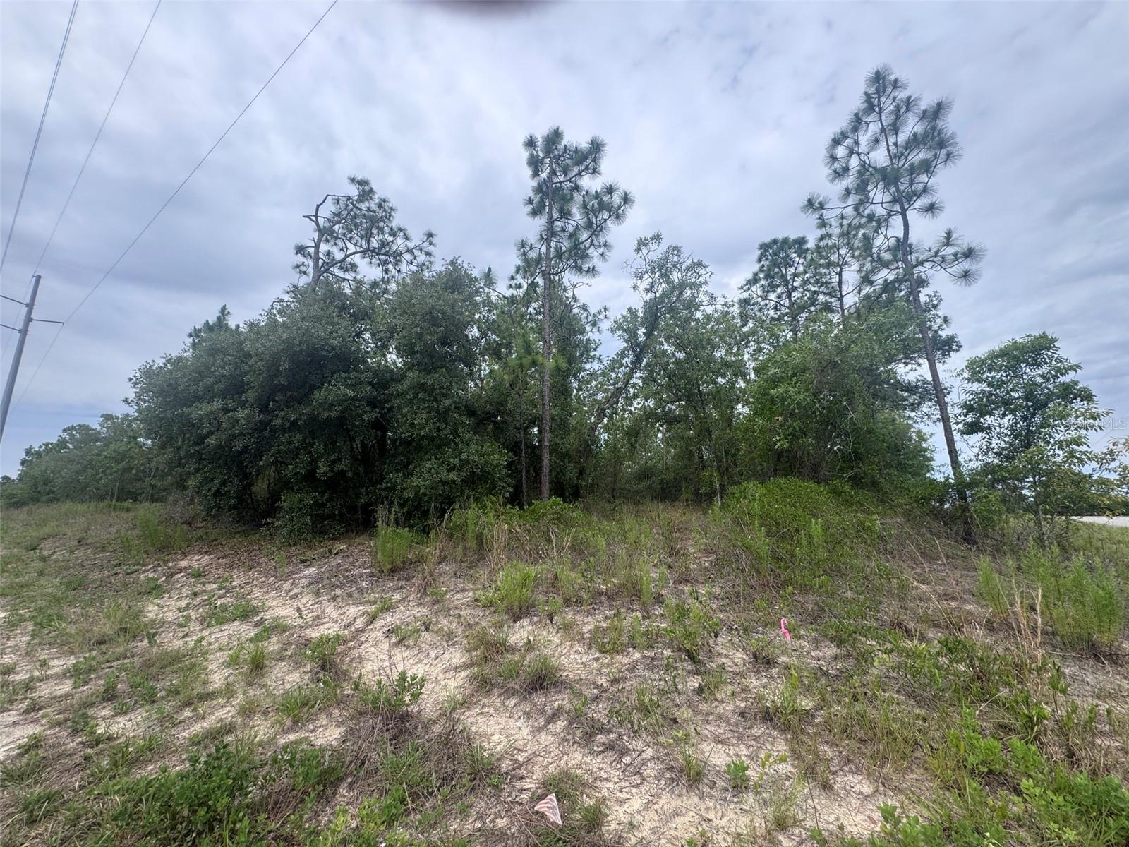 RAINBOW LAKES ESTATE - Land
