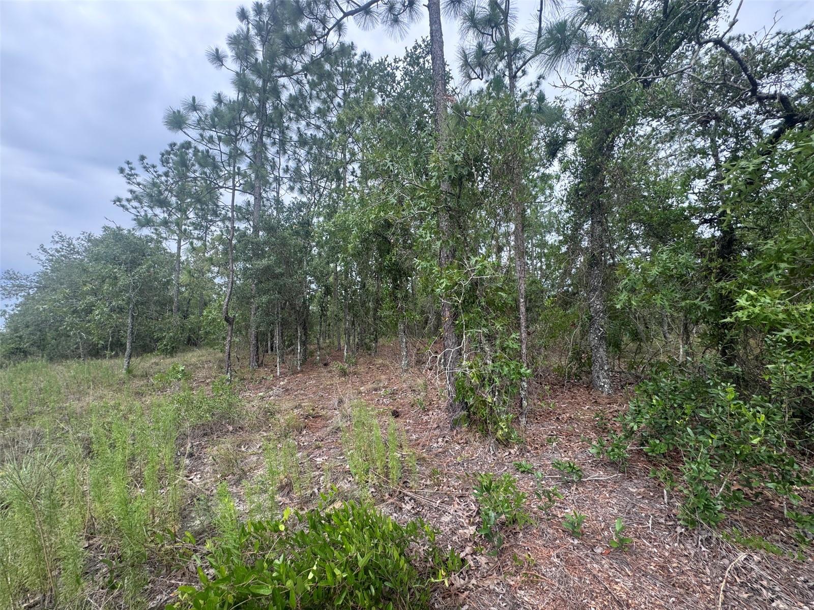 RAINBOW LAKES ESTATE - Land
