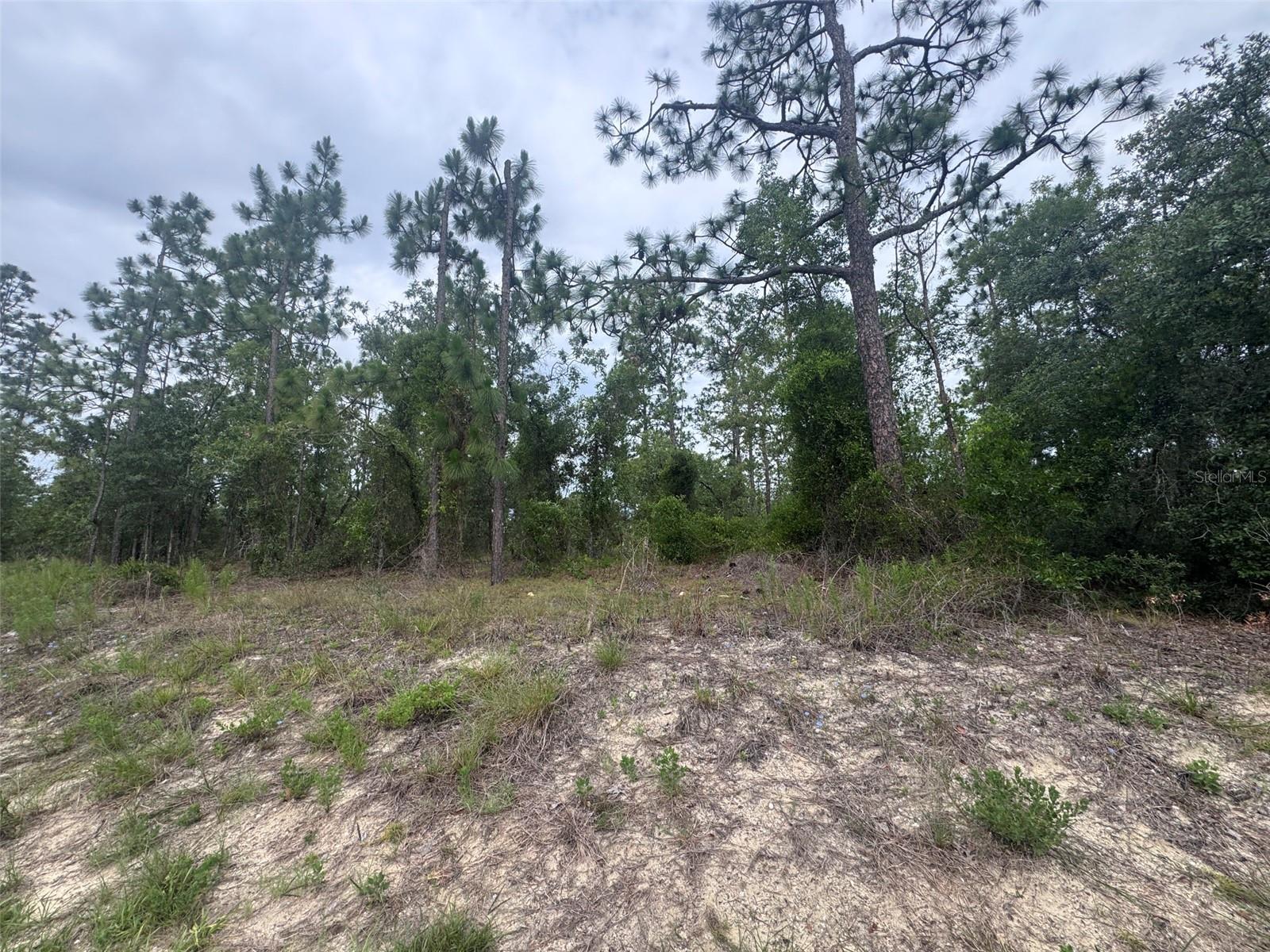RAINBOW LAKES ESTATE - Land