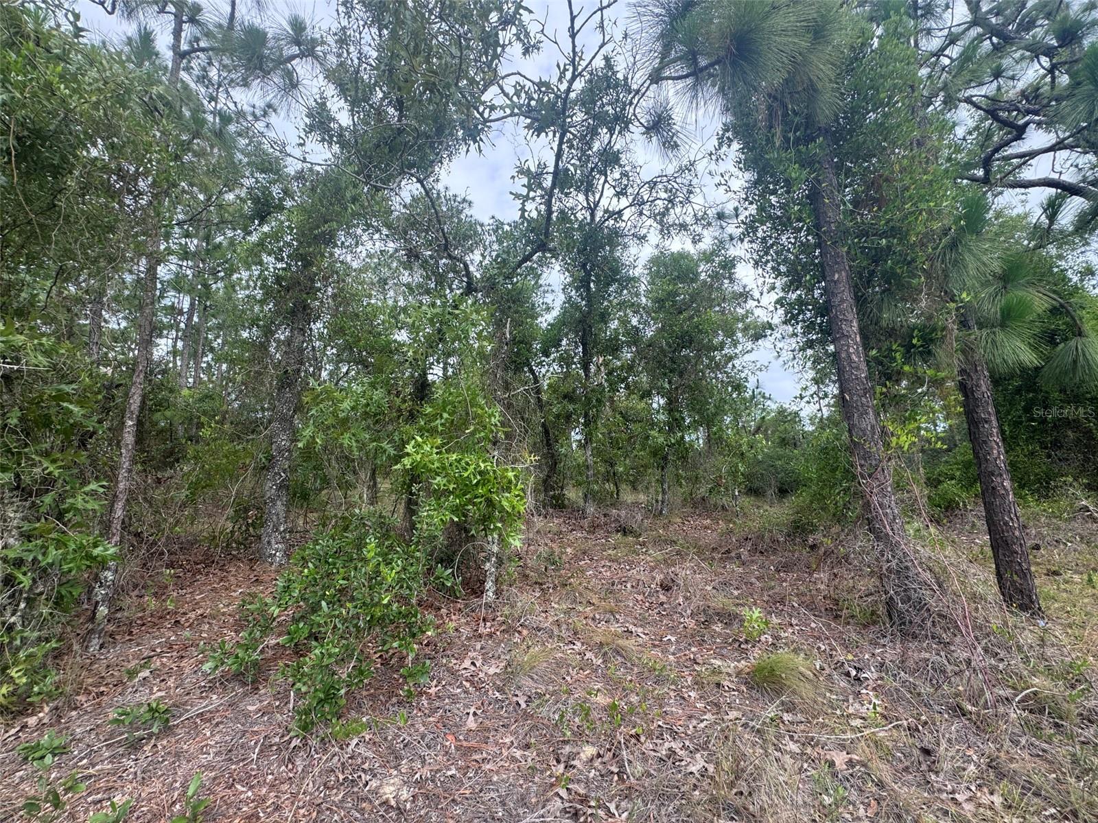 RAINBOW LAKES ESTATE - Land