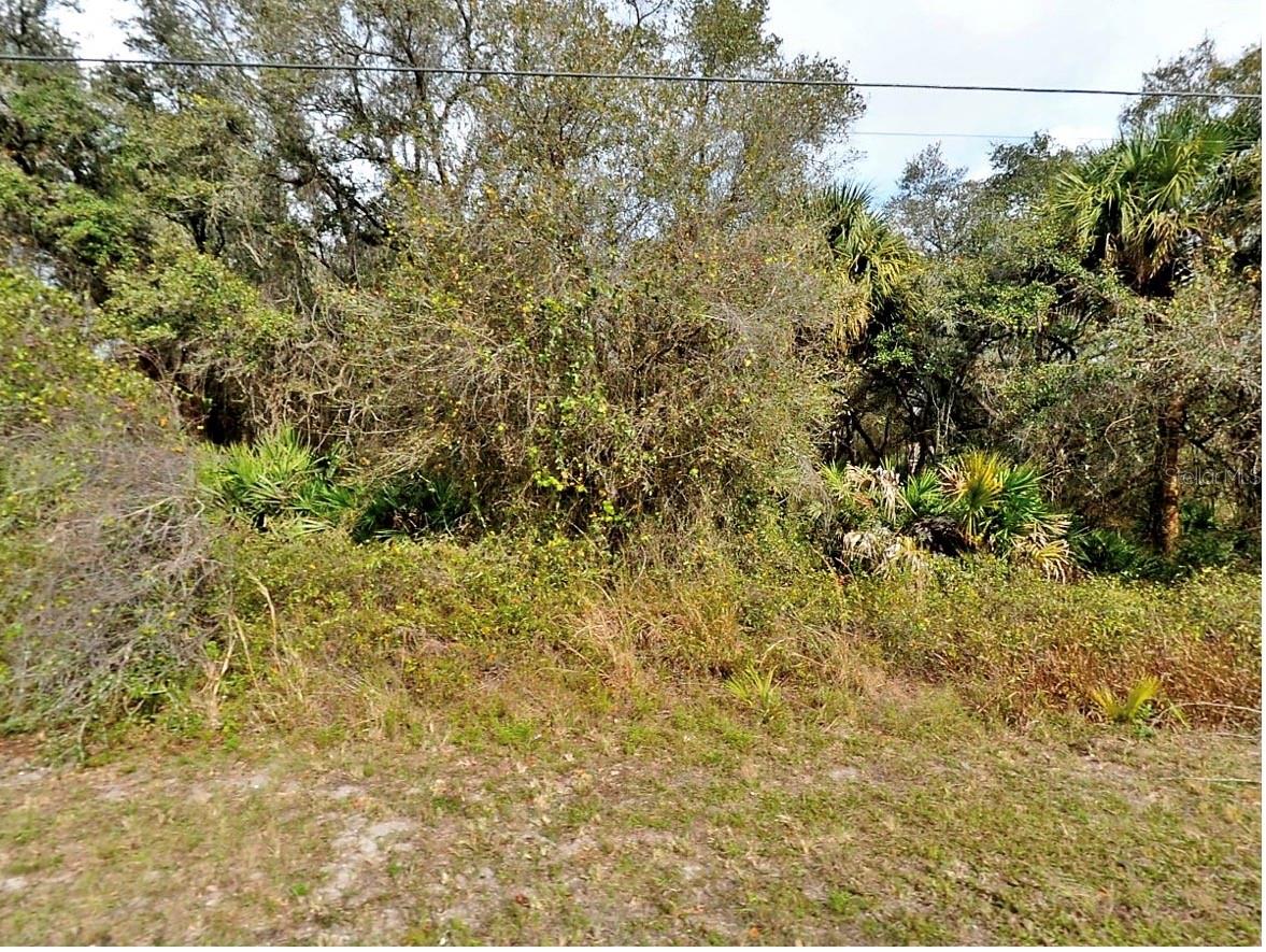 10,000 Sq. Ft. Lot