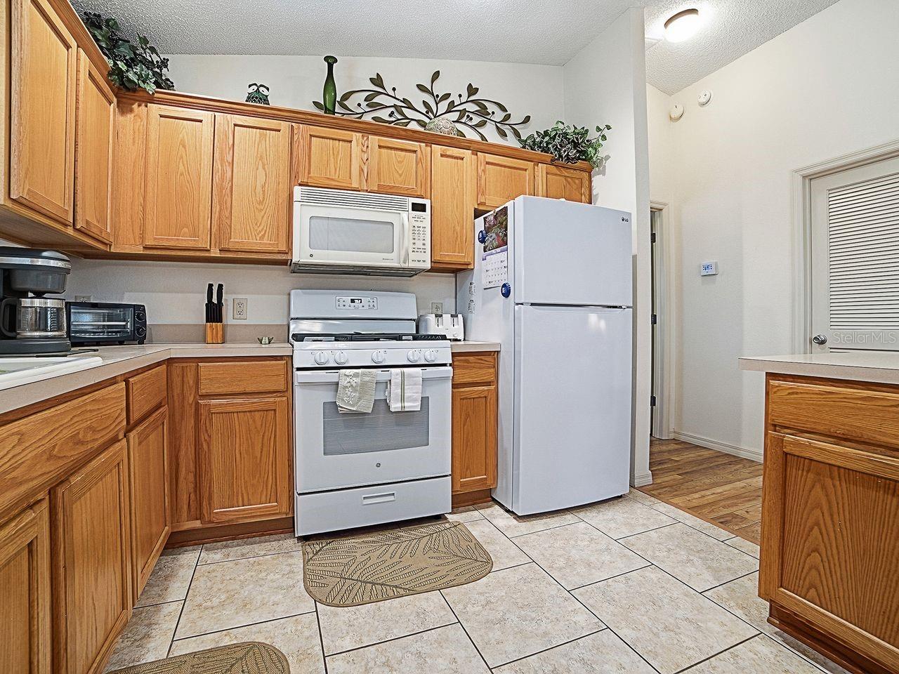 VILLAGES OF SUMTER - Residential