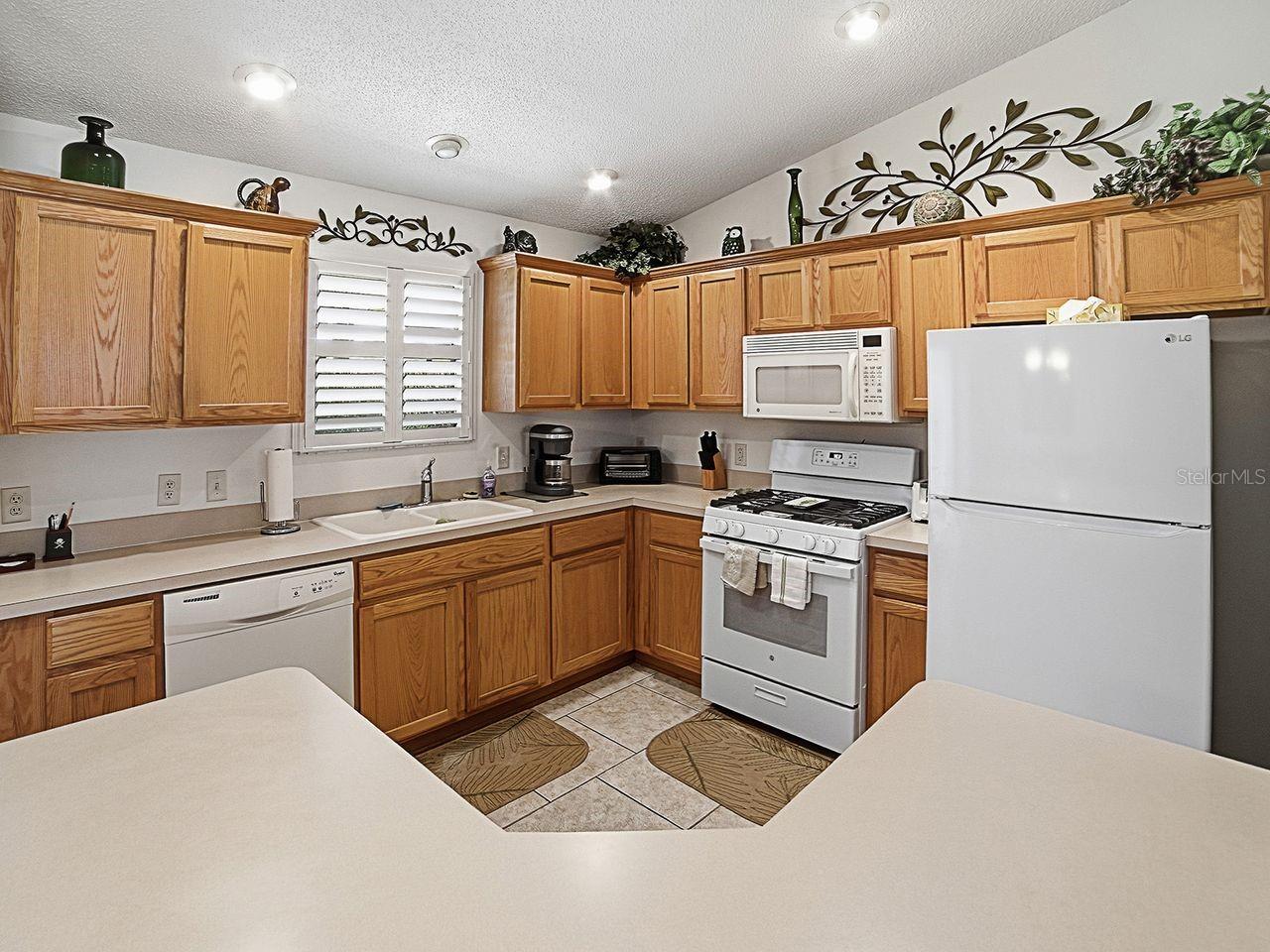 VILLAGES OF SUMTER - Residential
