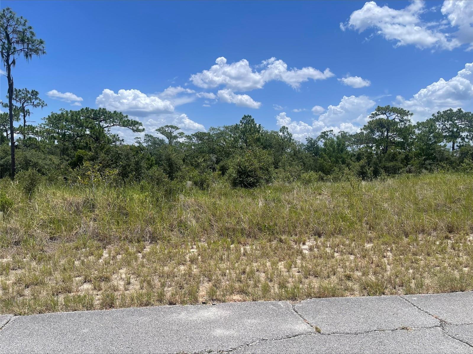 Build the custom home you've always envisioned on this spacious homesite in a growing community with a minimal HOA. Enjoy the flexibility of a larger lot with room to design a home that fits your lifestyle, whether that includes a pool, outdoor entertaining space, detached garage, workshop, or simply more room to spread out. If you've been searching for an alternative to today's smaller, zero lot line homes, this property offers the opportunity to create something truly your own.

A rare opportunity also exists to purchase all three adjoining lots from the same seller. Whether you're looking to create additional privacy, secure extra space for future needs, or explore the potential for a multi-generational estate, opportunities like this don't come along often.