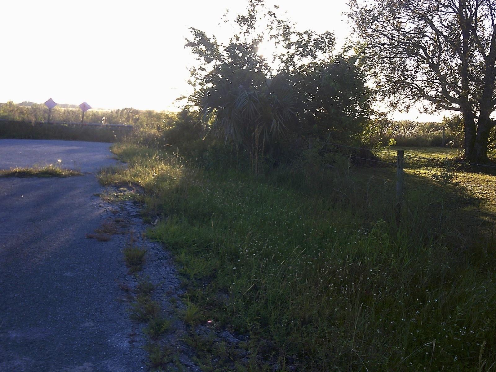 DIXIE RANCH ACRES - Land