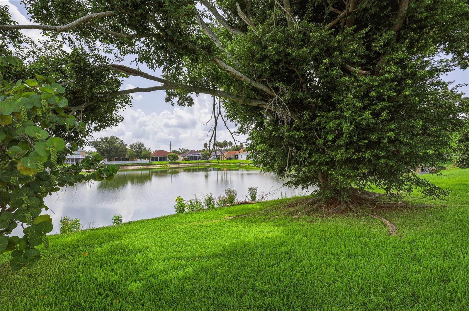 COVERED BRIDGE ESTATES PH 1 - Residential