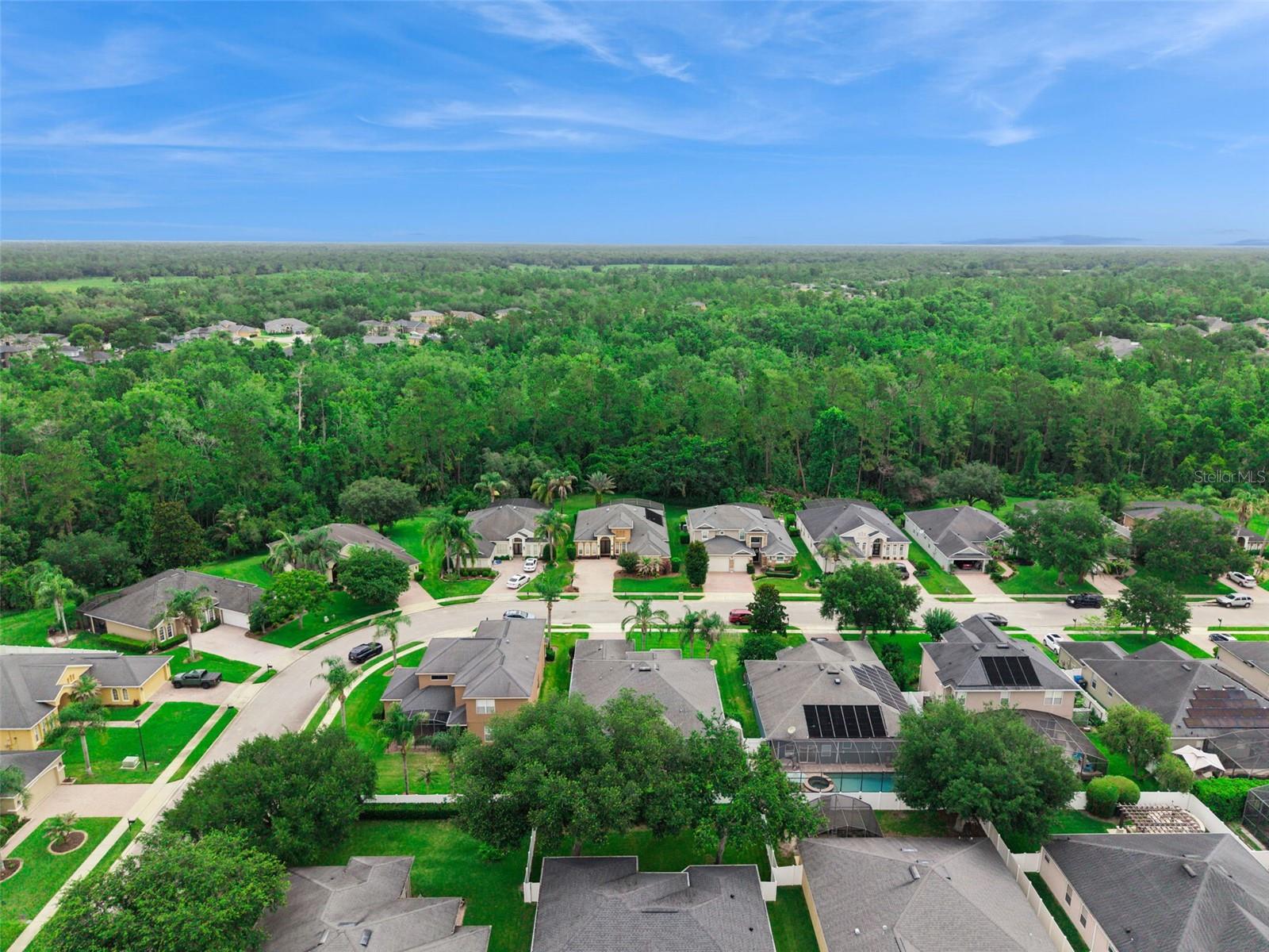 SANCTUARY - Residential