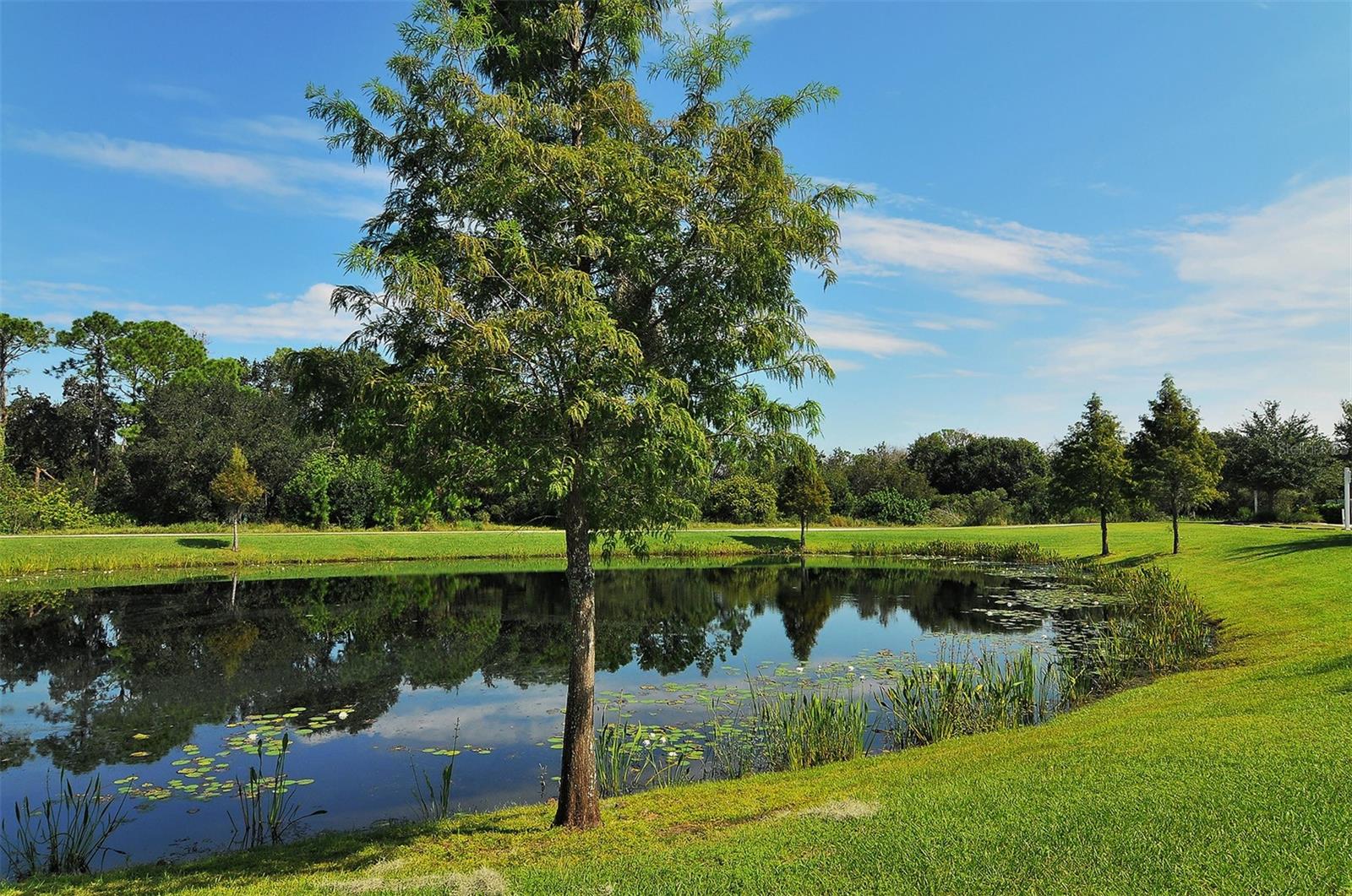 GREENBROOK PRESERVE - Residential