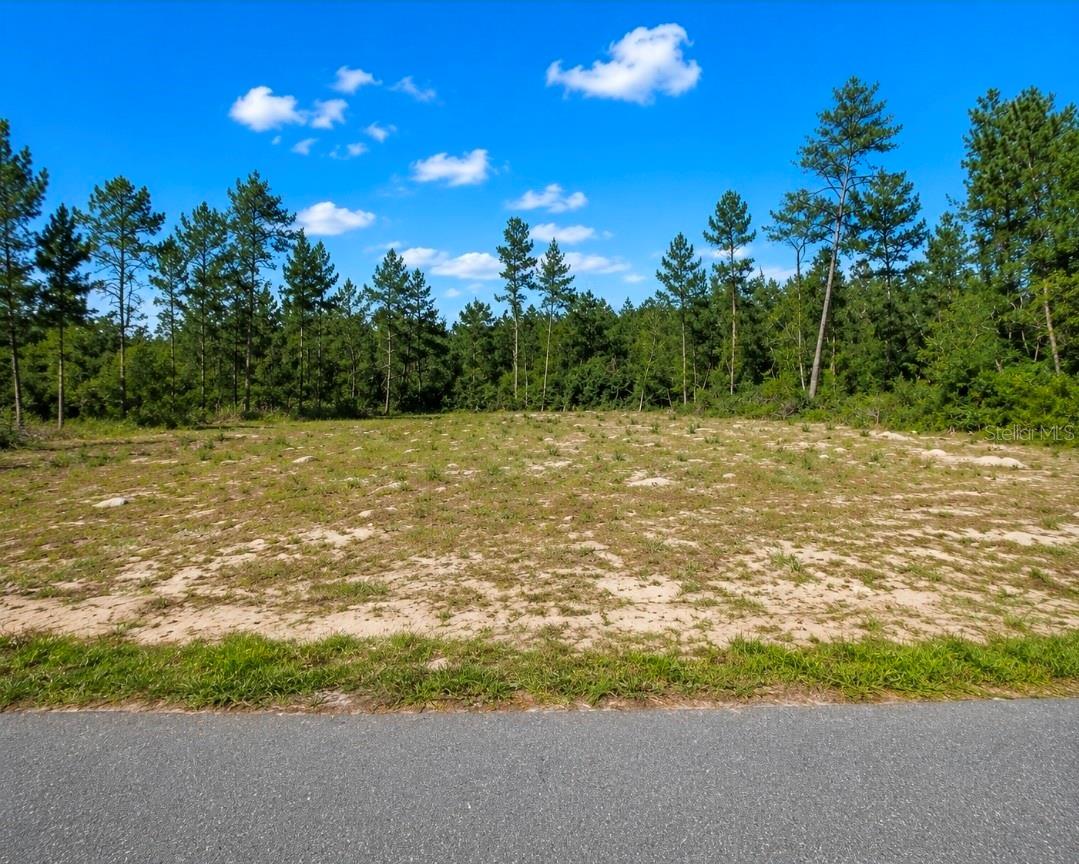 Build your dream home on this spacious 0.31-acre residential lot in Marion Oaks, Ocala! Located in a growing community with no HOA, this property offers easy access to shopping, schools, medical facilities, restaurants, and major highways. Zoned for single-family residential use and ready for your vision. Don't miss this excellent opportunity to own land in one of Ocala's fastest-growing areas.