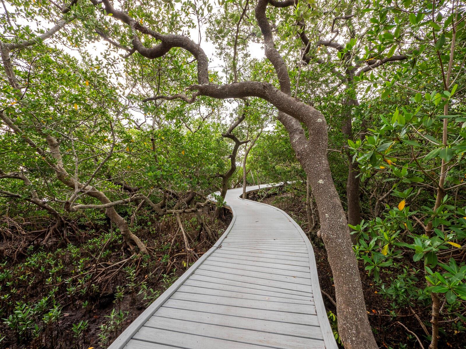 THE BANYAN BAY CLUB - Residential