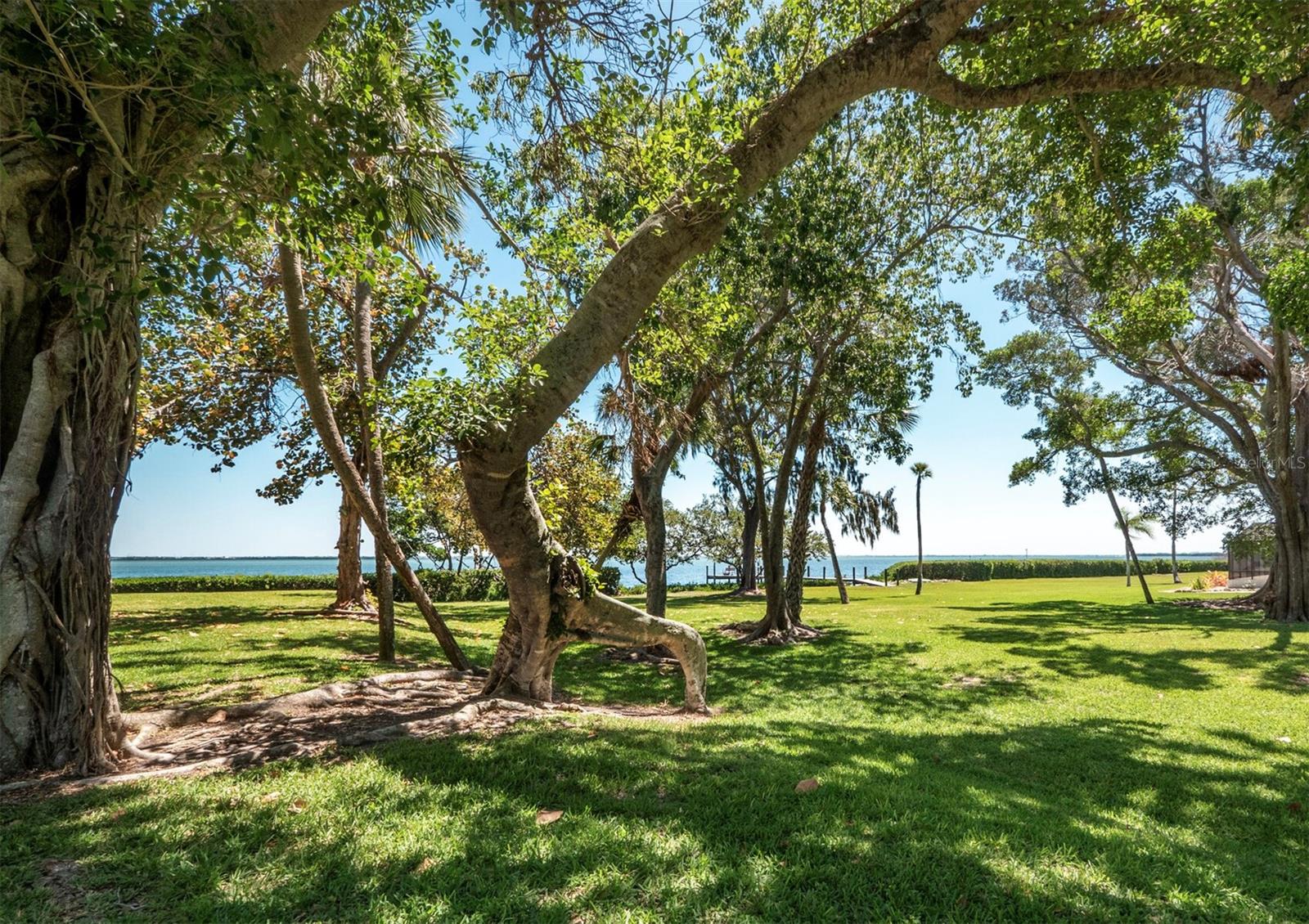 THE BANYAN BAY CLUB - Residential