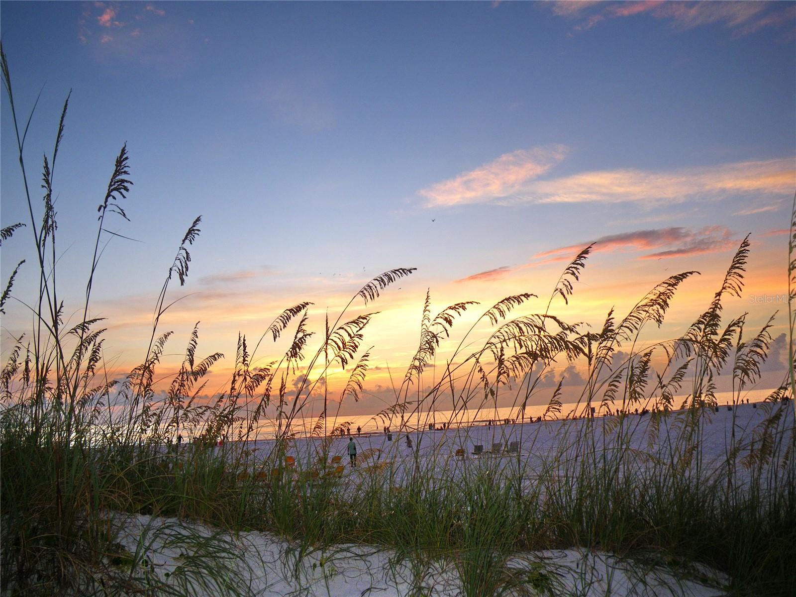 SAND KEY CONDO-SOUTH BEACH 2 - Residential Lease
