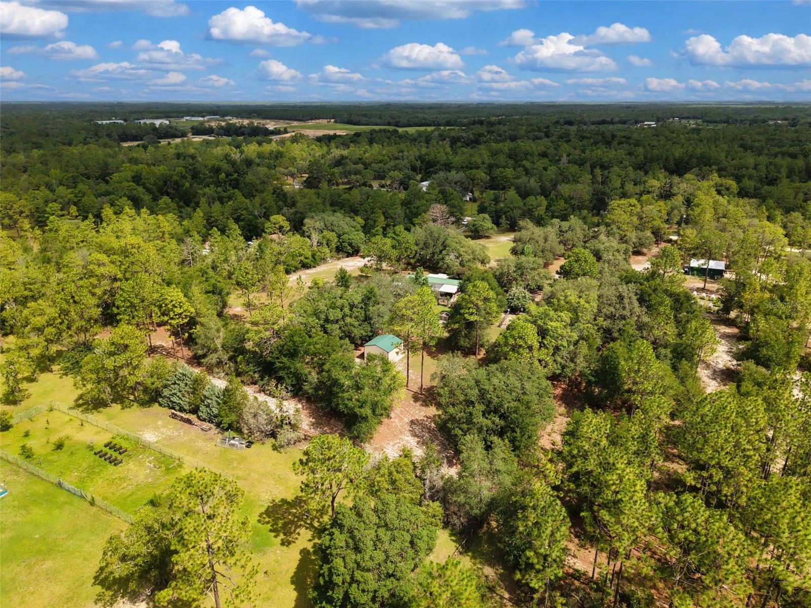 FOREST PARK - Residential