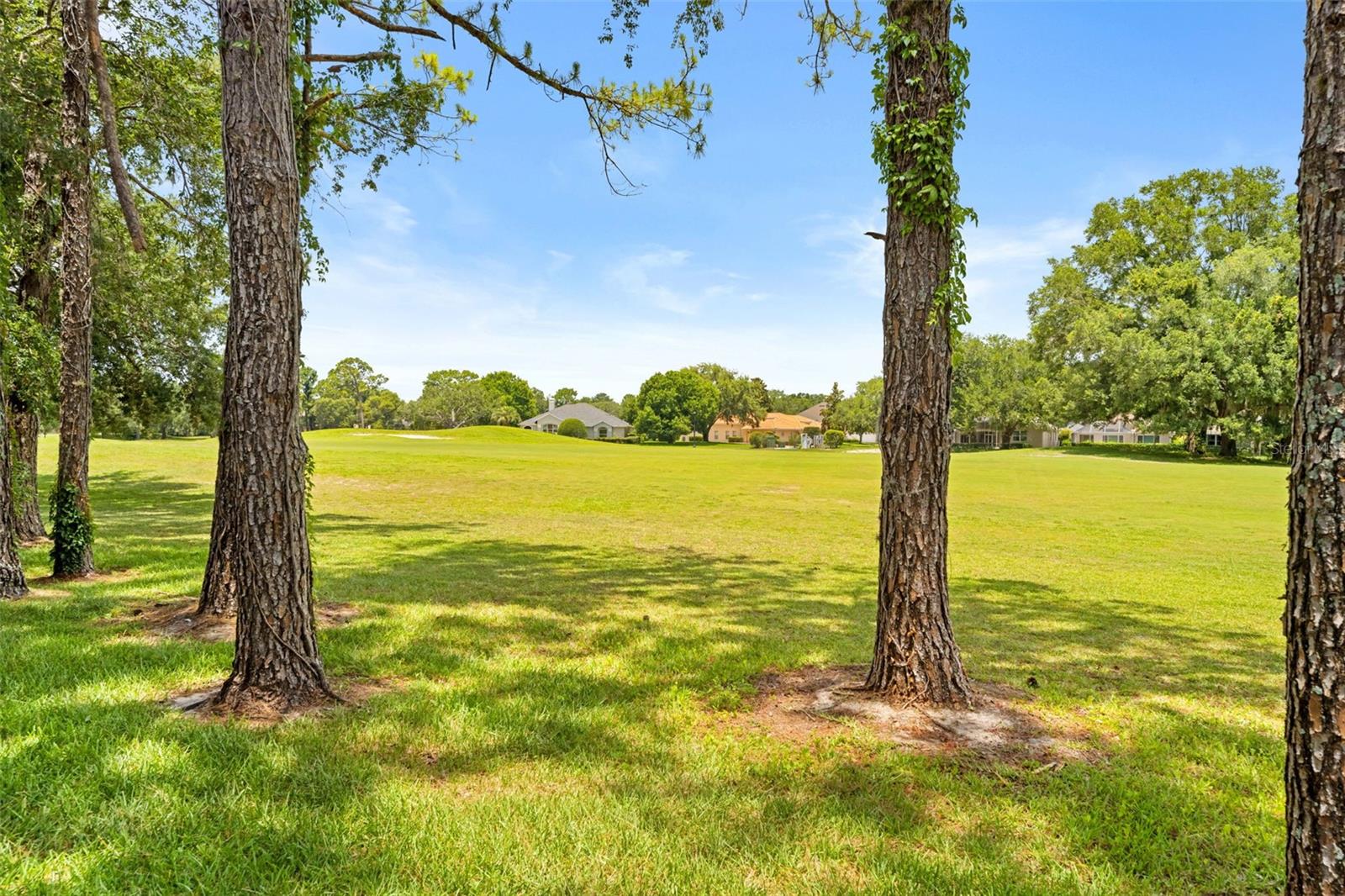 SILVERTHORN PH 4A - Residential