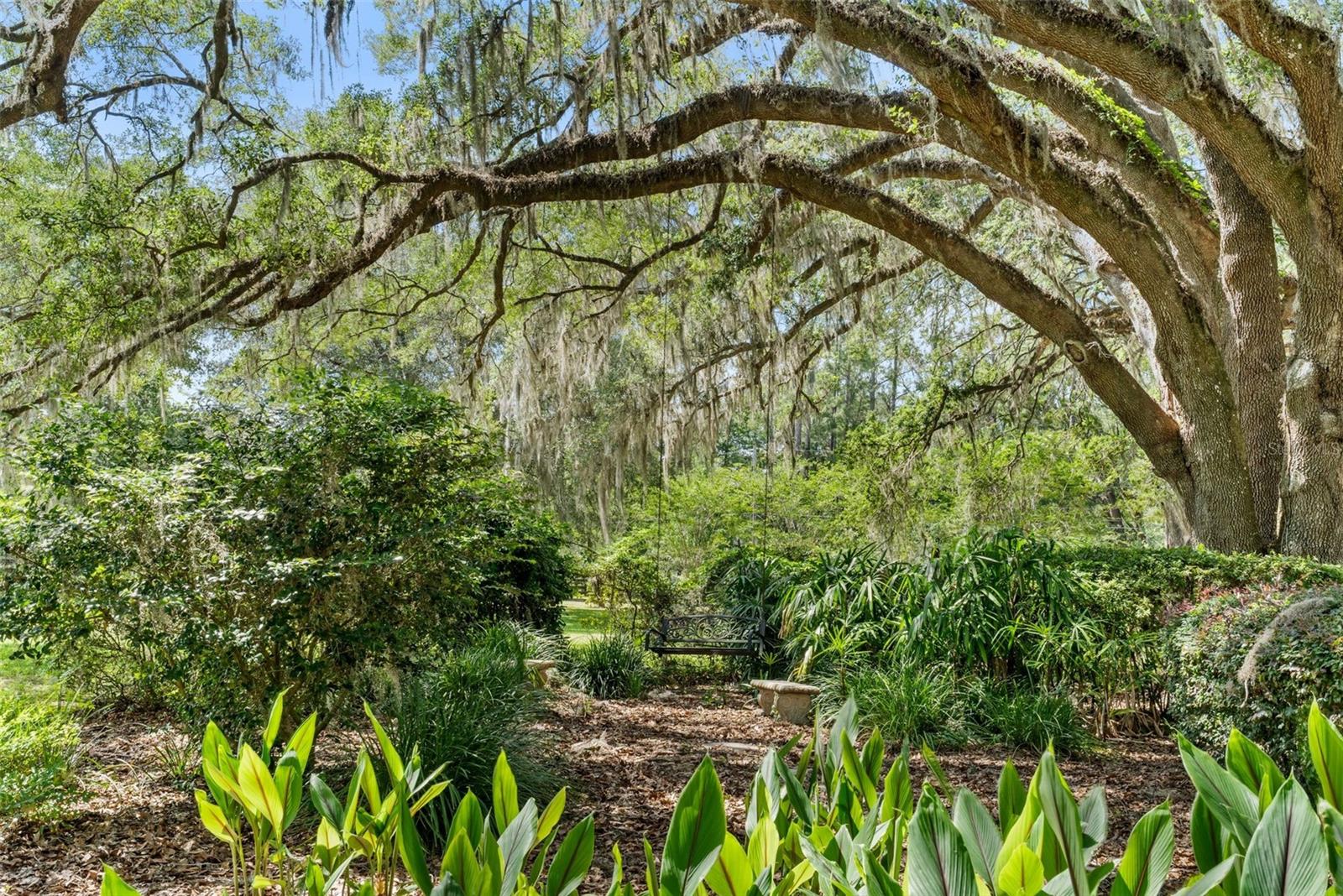 ALACHUA HIGHLANDS - Residential