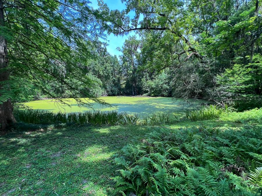 HIBISCUS PARK - Residential Lease