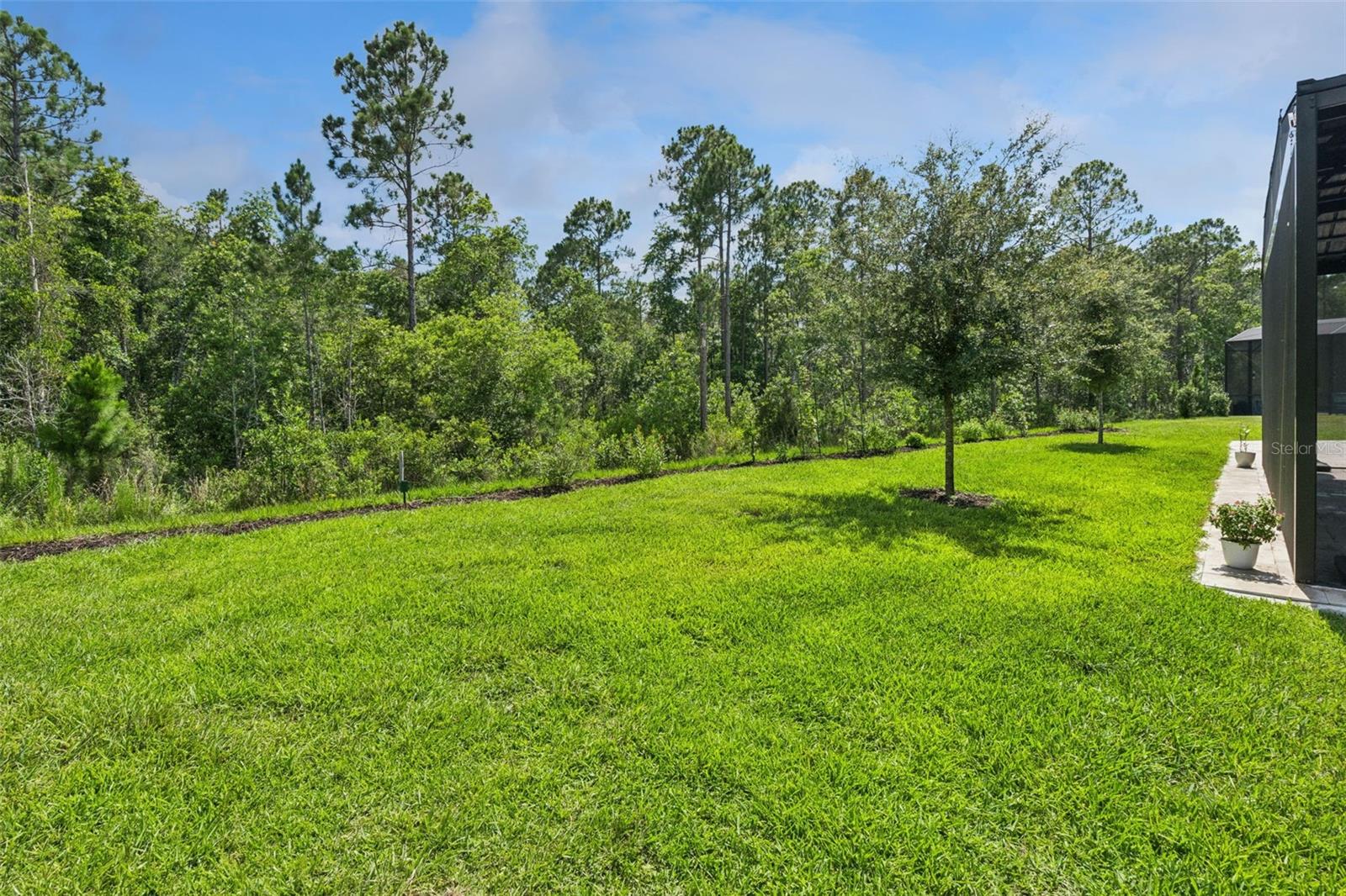 DEL WEBB SUNBRIDGE - Residential