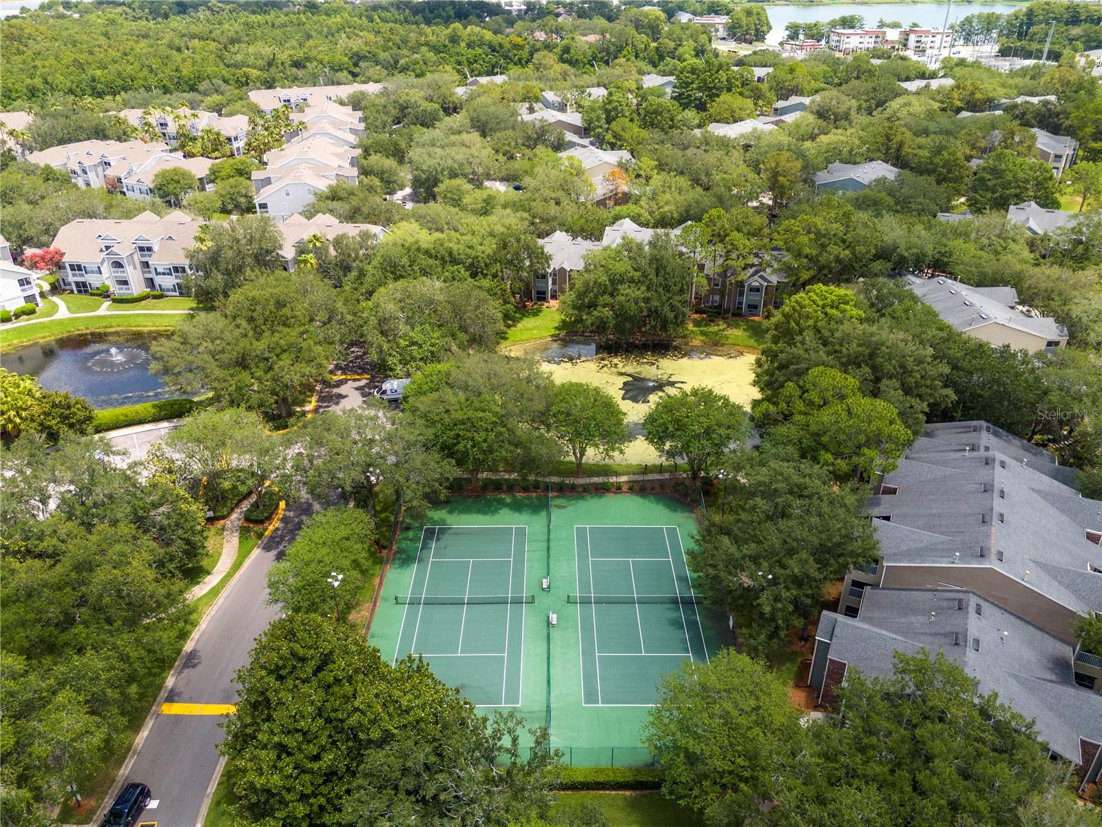 BELMONT/PK CENTRAL CONDO - Residential