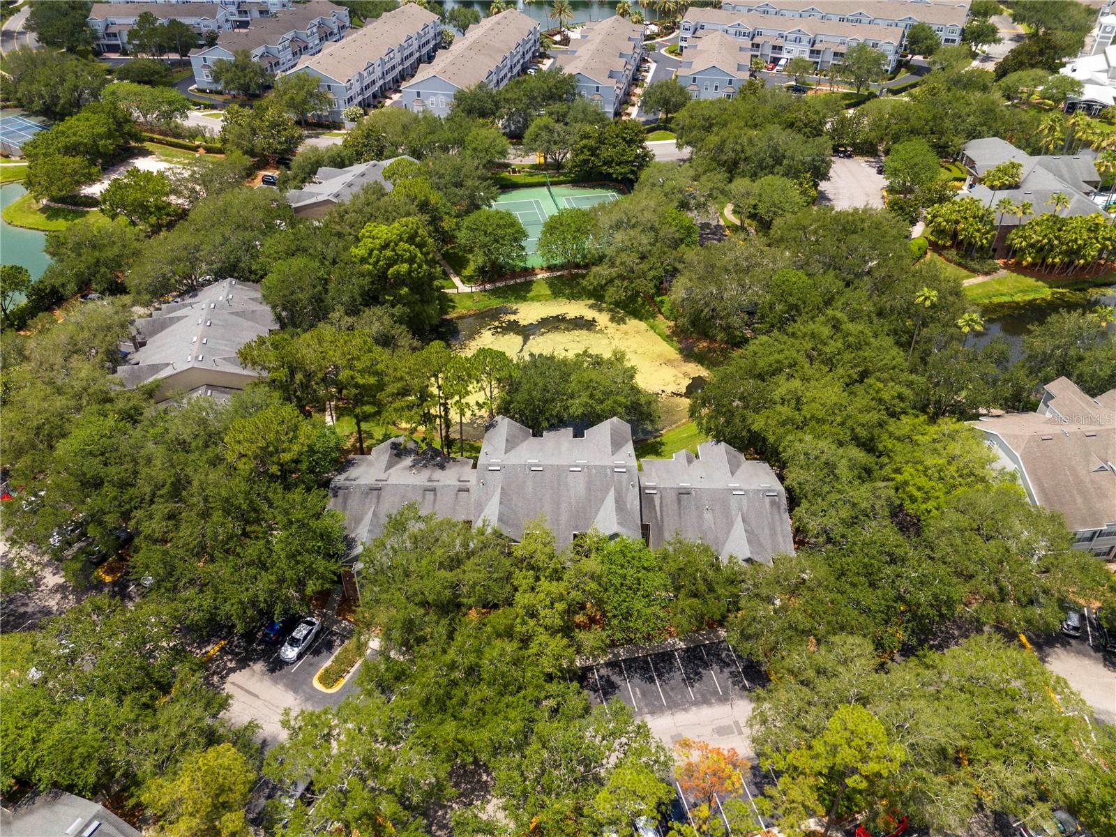 BELMONT/PK CENTRAL CONDO - Residential