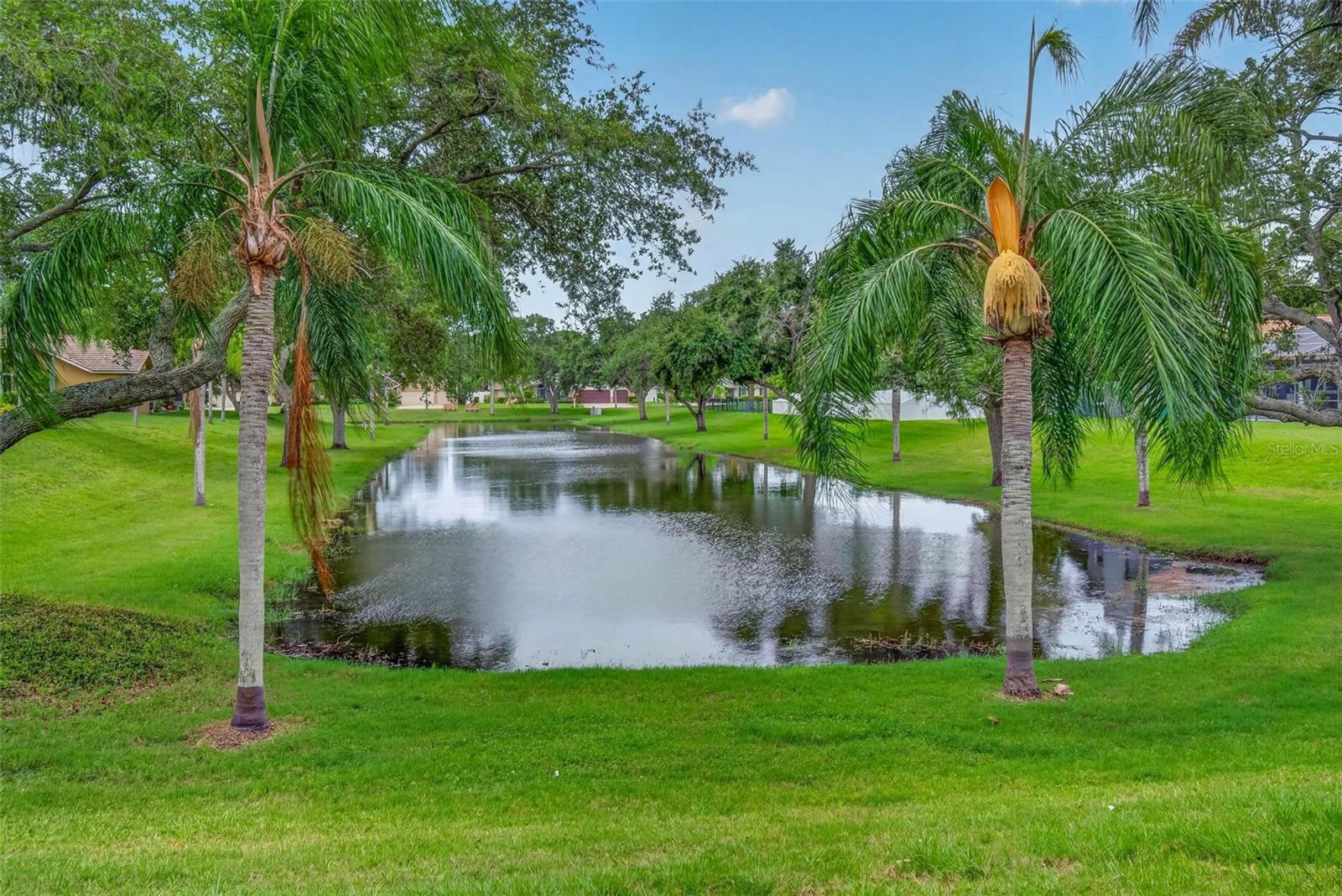 COLLINS ESTATES PH III - Residential