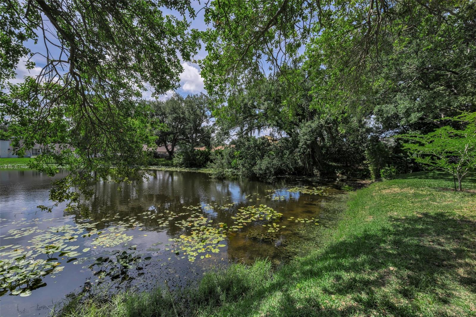 ARBORS AT BARDMOOR THE - Residential