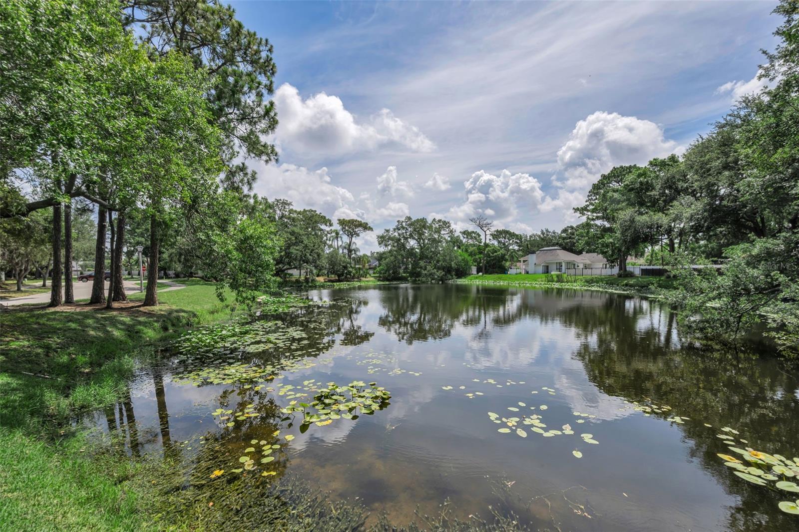 ARBORS AT BARDMOOR THE - Residential