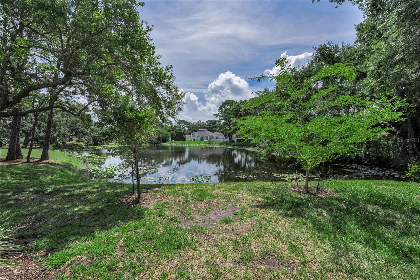 ARBORS AT BARDMOOR THE - Residential