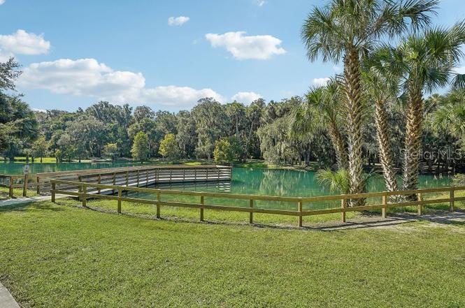 SPRING WALK AT THE JUNCTION PHASE 1 - Residential Lease
