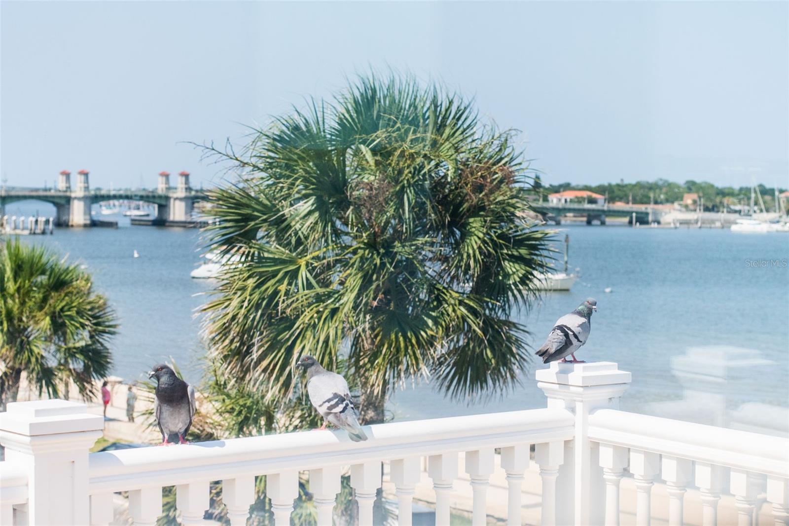 CITY/ST AUGUSTINE - Residential