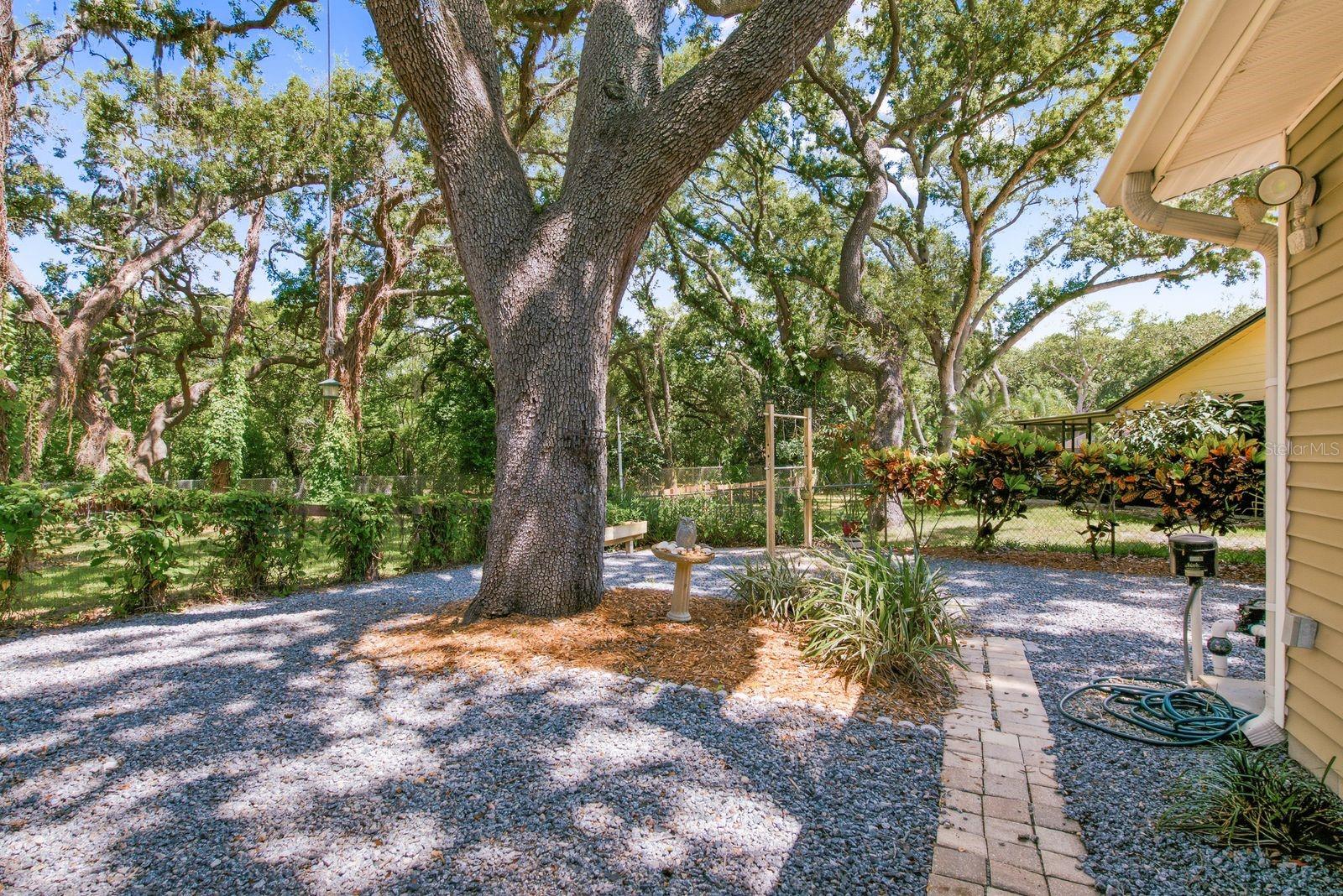 SPANISH OAKS - Residential