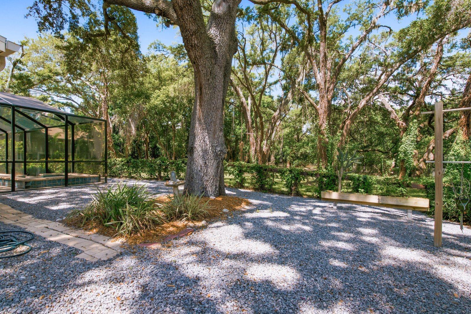 SPANISH OAKS - Residential