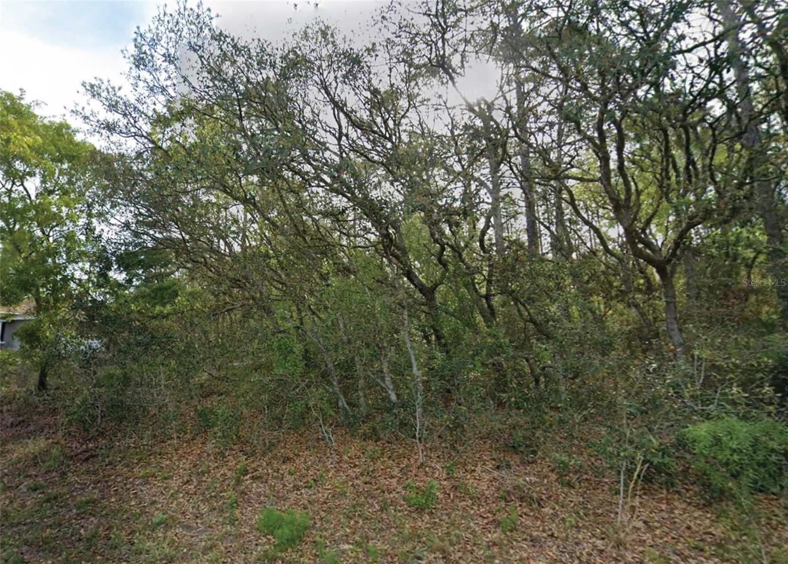 Build your dream home on this vacant residential lot in the desirable Citrus Springs community. Zoned RUR (Rural Residential). Conveniently located near schools, shopping, medical facilities, golf courses, parks, and the Rainbow River, with easy access to Crystal River, Dunnellon, and Ocala. Enjoy Florida's Nature Coast while remaining close to everyday amenities.All information is deemed reliable but not guaranteed and should be independently verified.