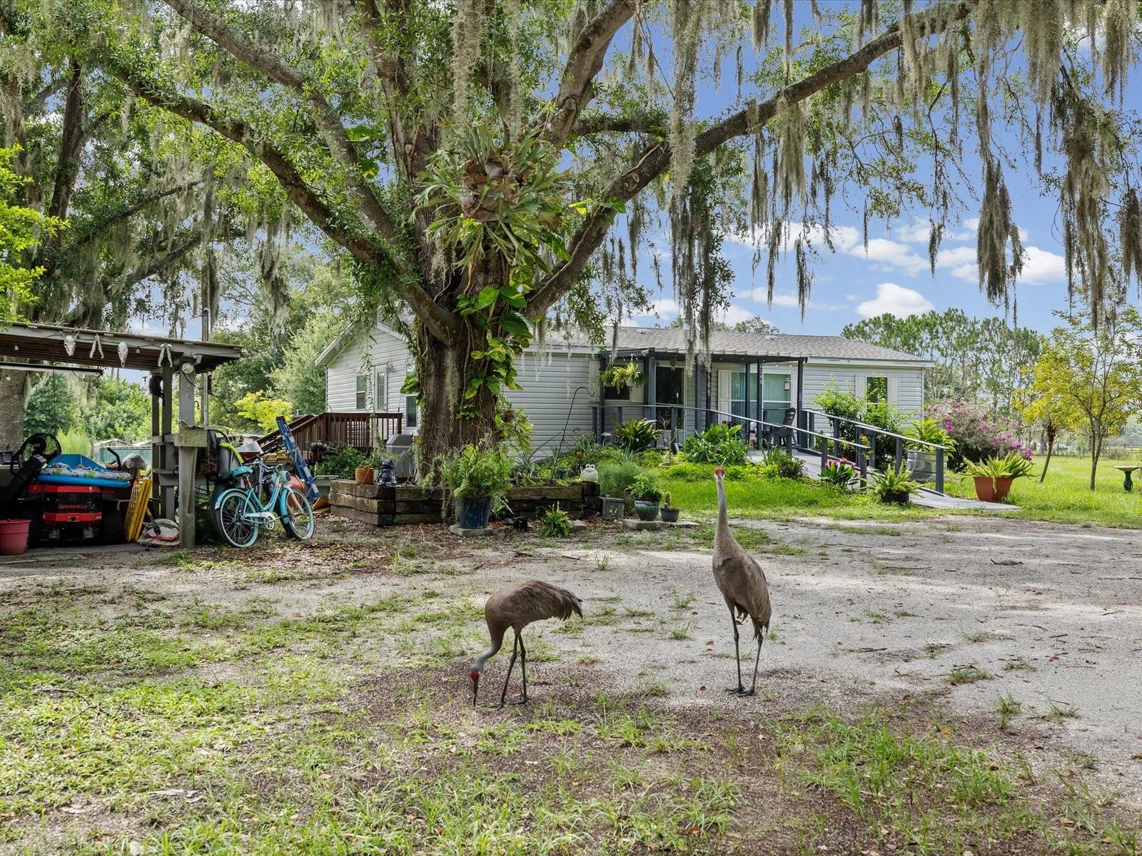 ACREAGE - Residential