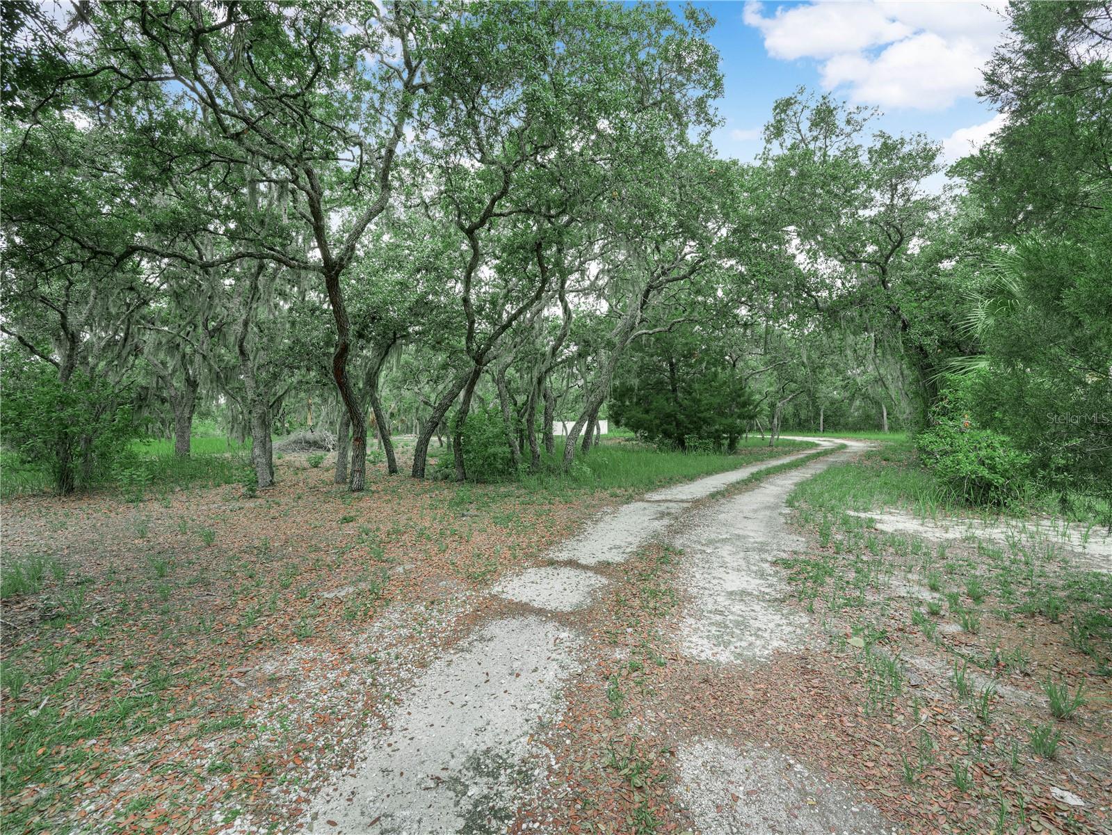 TIGER CREEK FOREST - Residential