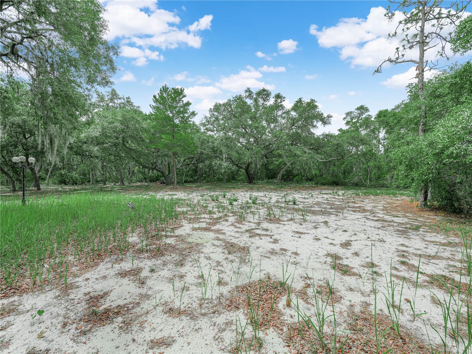TIGER CREEK FOREST - Residential