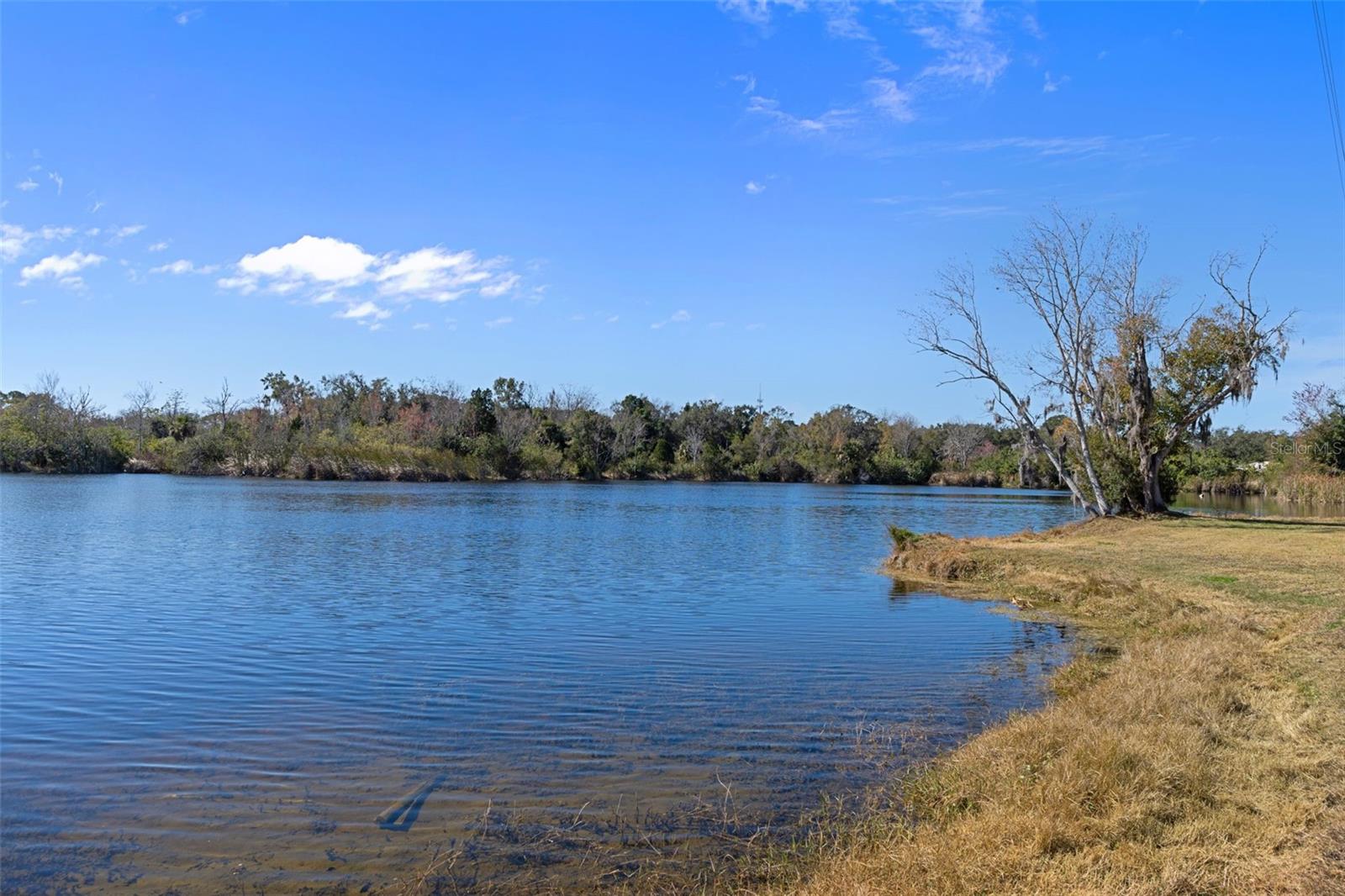 PORT RICHEY LAND CO SUB - Commercial Sale
