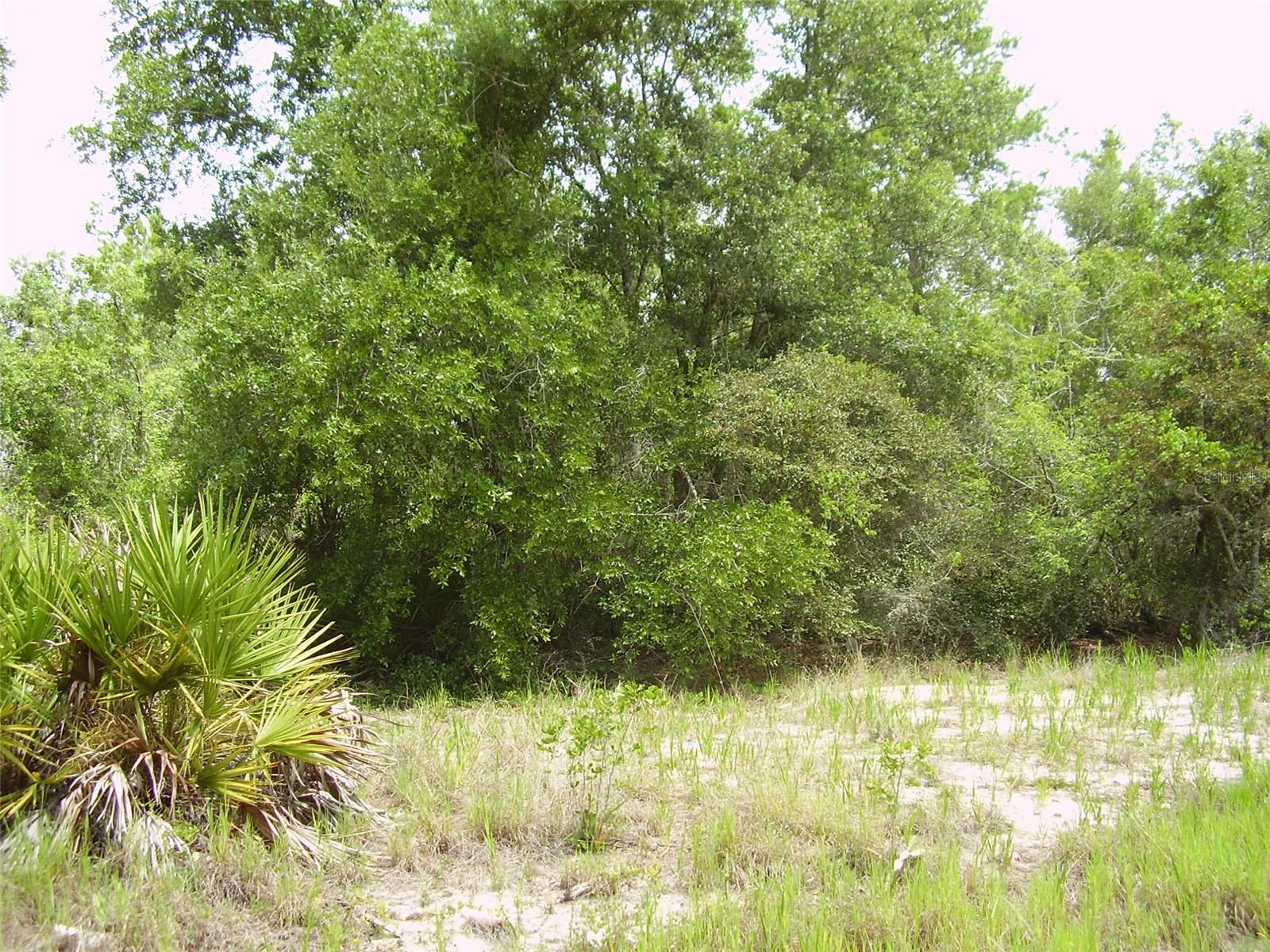 POINCIANA NBRHD 02 WEST VILLAGE 07 - Land