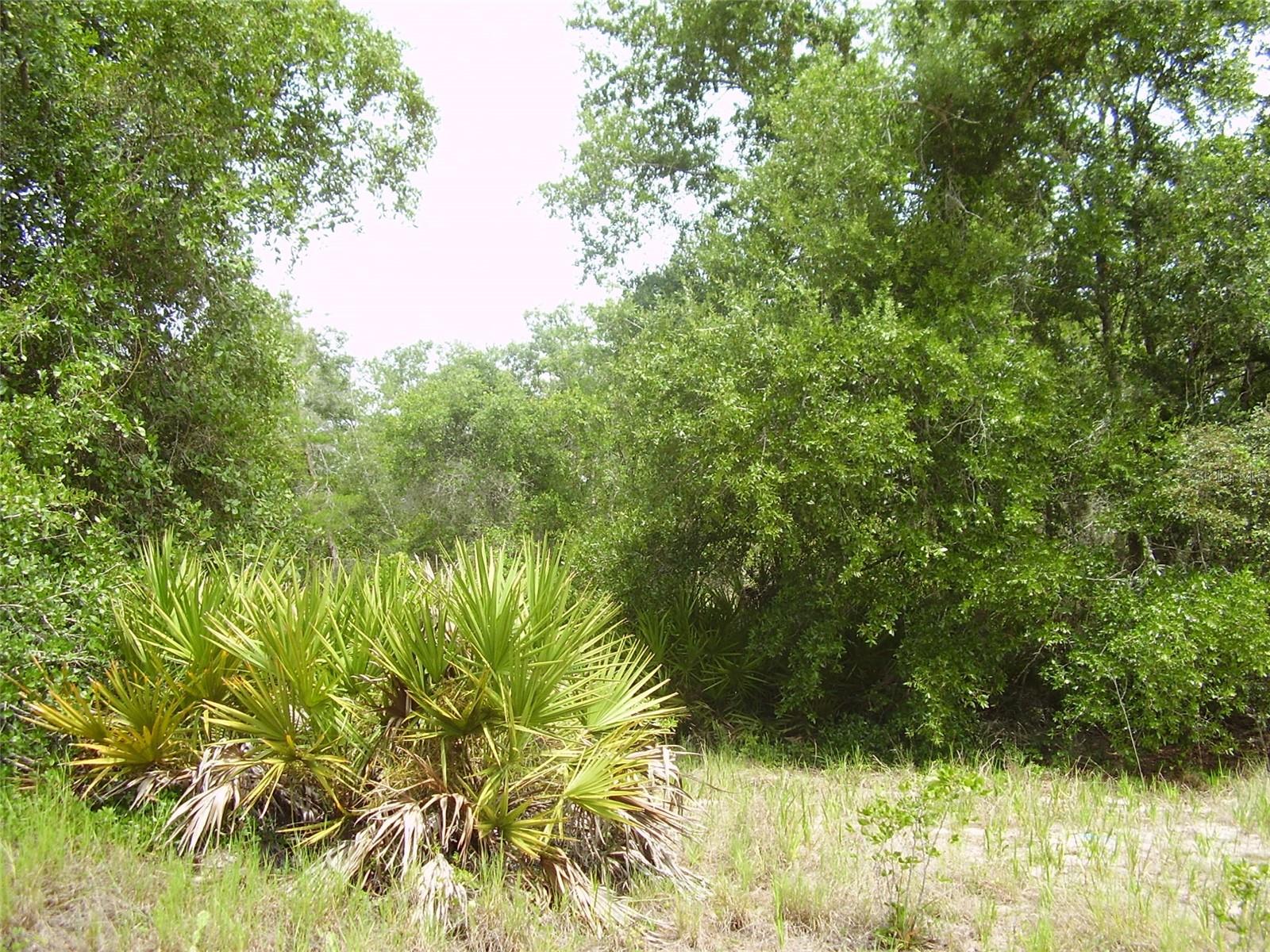 POINCIANA NBRHD 02 WEST VILLAGE 07 - Land