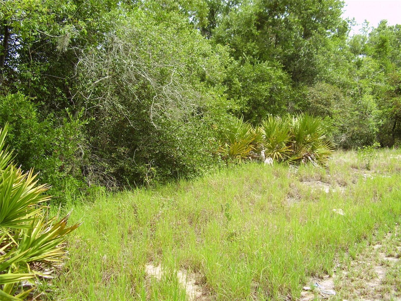 POINCIANA NBRHD 02 WEST VILLAGE 07 - Land