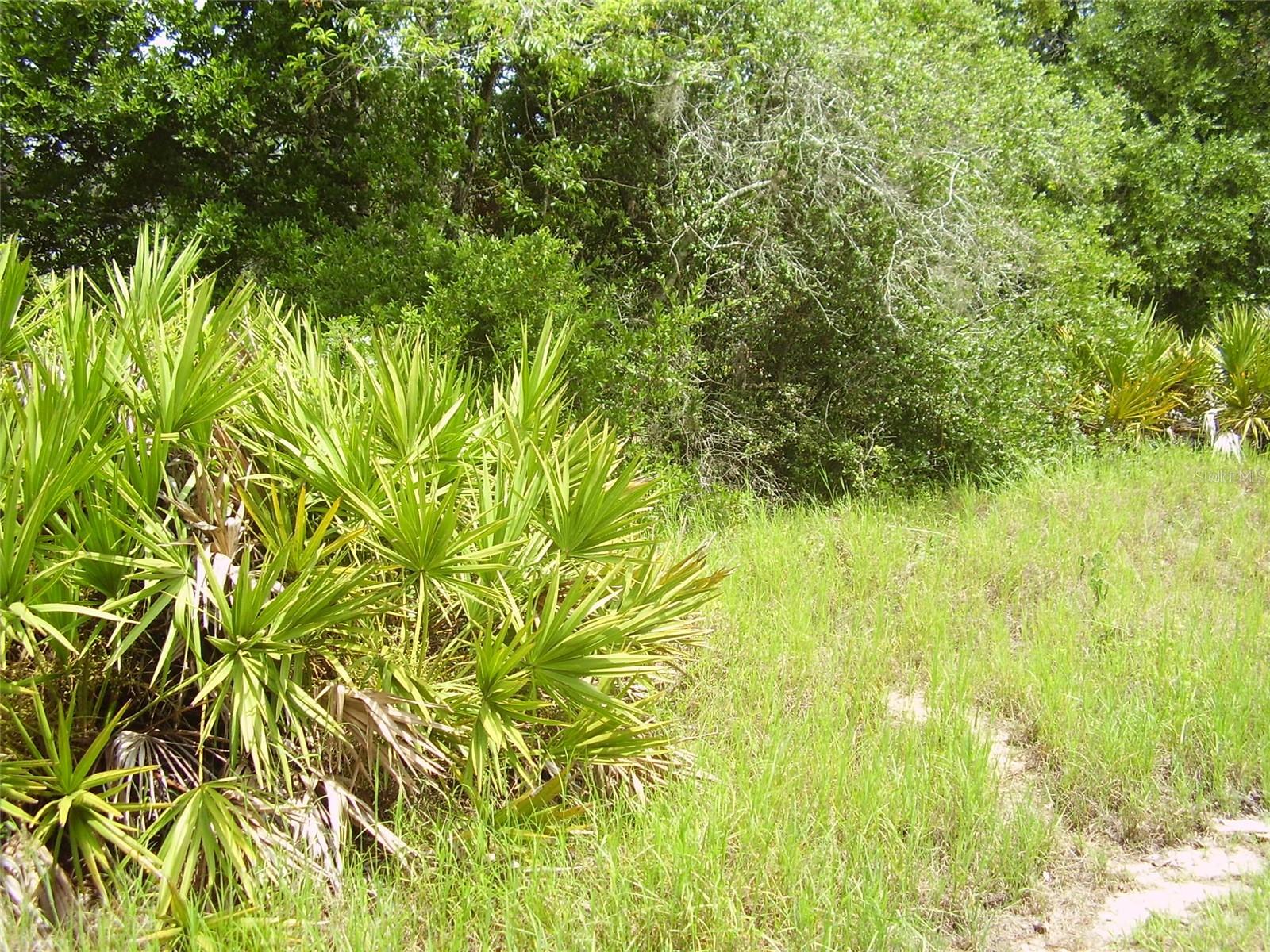 POINCIANA NBRHD 02 WEST VILLAGE 07 - Land