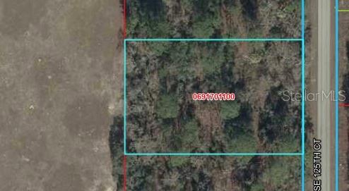 Your chance to own just over an acre of raw land that backs up to a farm. Enjoy the natural beauty of Levy County, with many of the area's top attractions within driving distance, including pristine natural springs, the unspoiled Gulf Coast, world-class equestrian facilities in Williston, and the historic waterfront community of Cedar Key. Experience the outdoor recreation and Old Florida charm that make Levy County known as Florida's Natural Paradise.