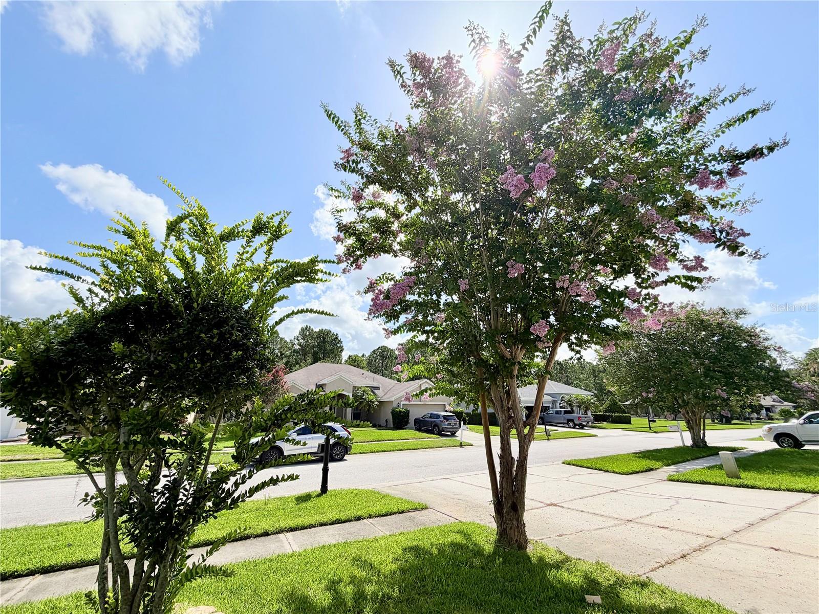 WESTWOOD LAKES PH 2A UNIT 2 - Residential Lease