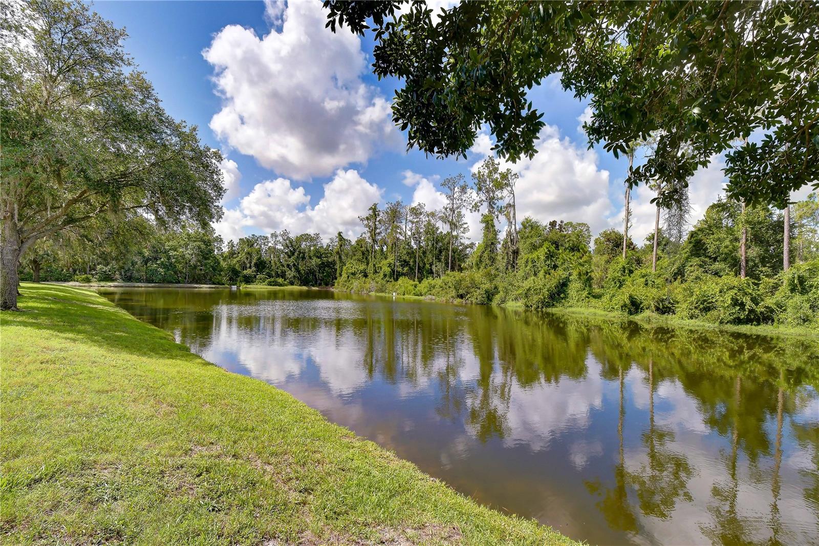 SEVEN OAKS PRCL S-8A - Residential