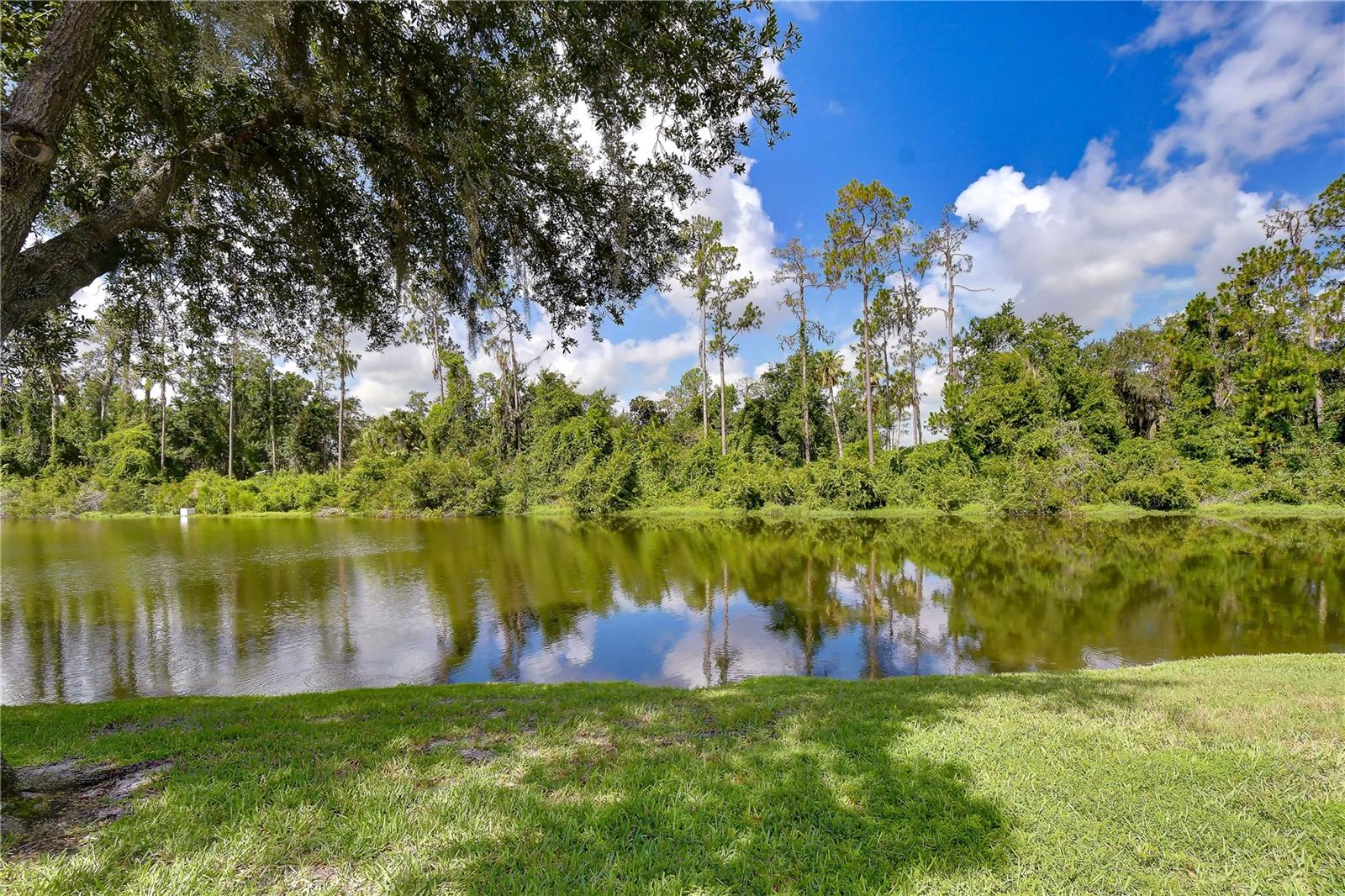SEVEN OAKS PRCL S-8A - Residential